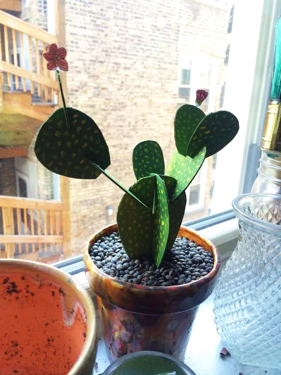 CardboardCactus.jpg