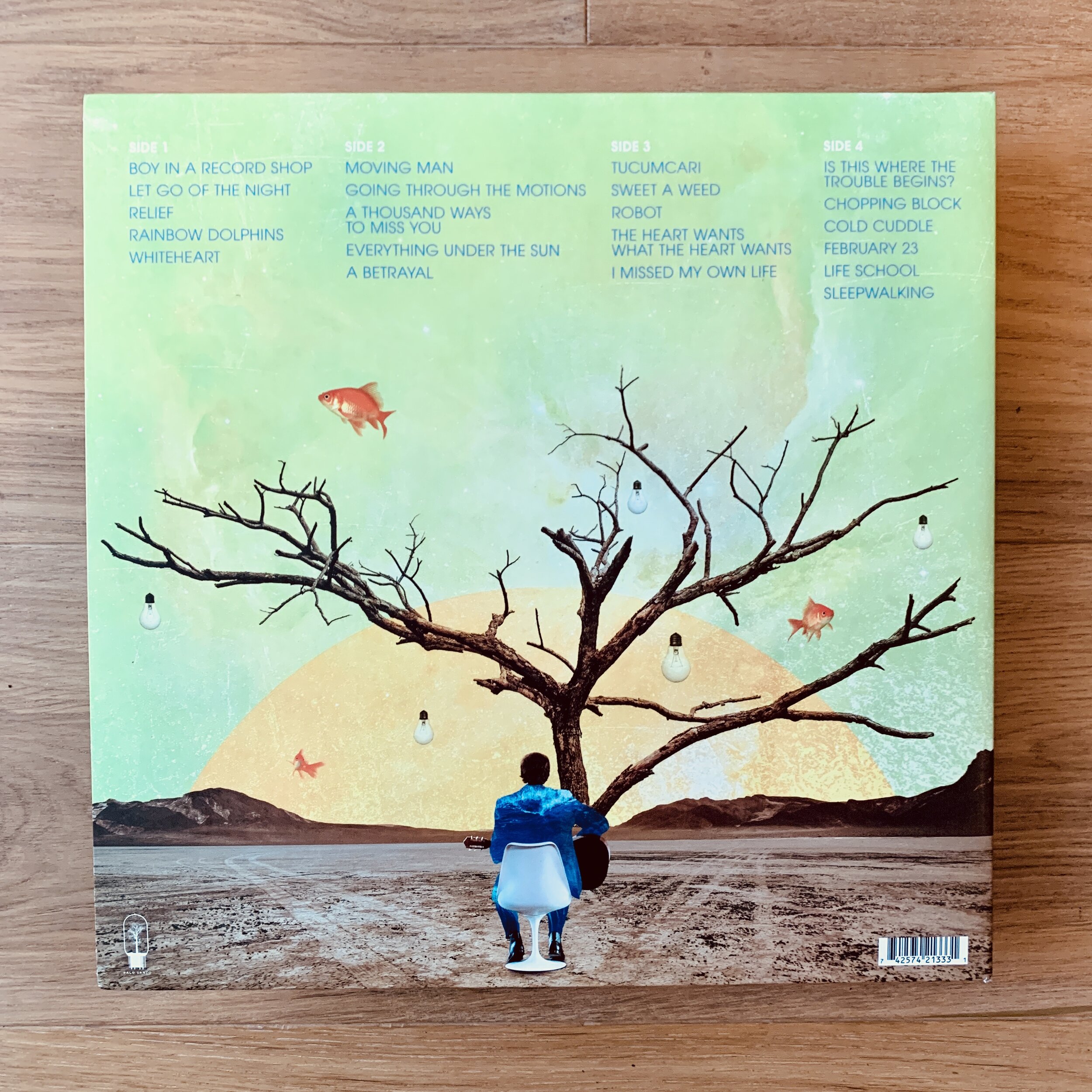 Salim Nourallah Somewhere South Of Sane 2 X Lp Ps Music Group