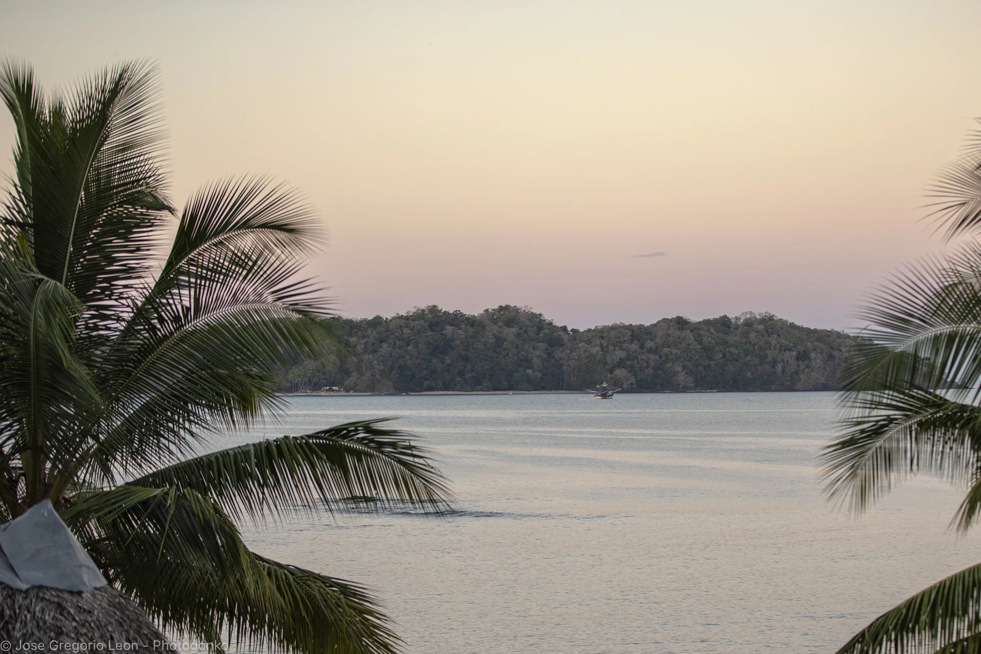 _N1A4367-Photogonko-01122019-Santa-Catalina.jpg