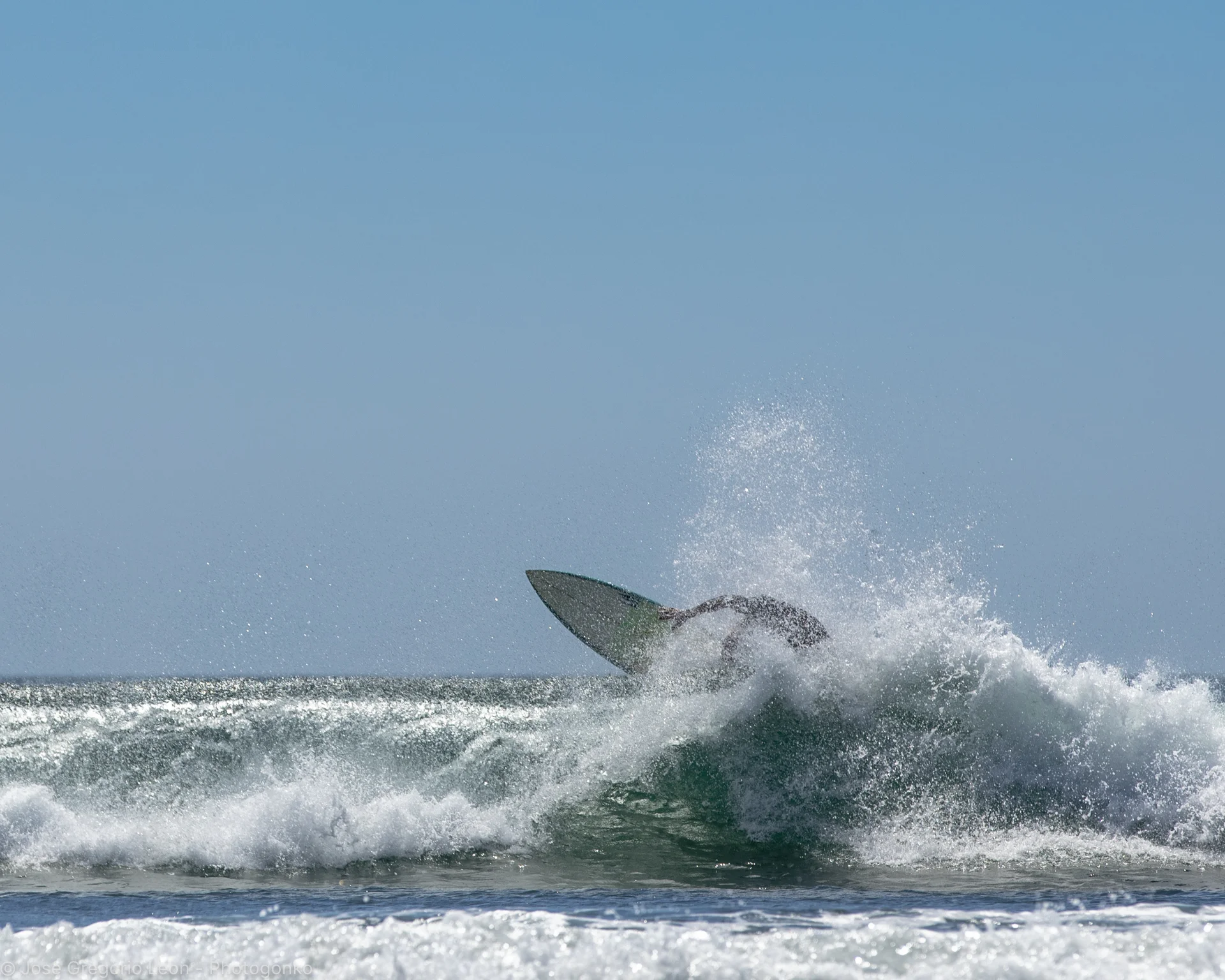 _N1A4839-Photogonko-01132019-Santa-Catalina.jpg