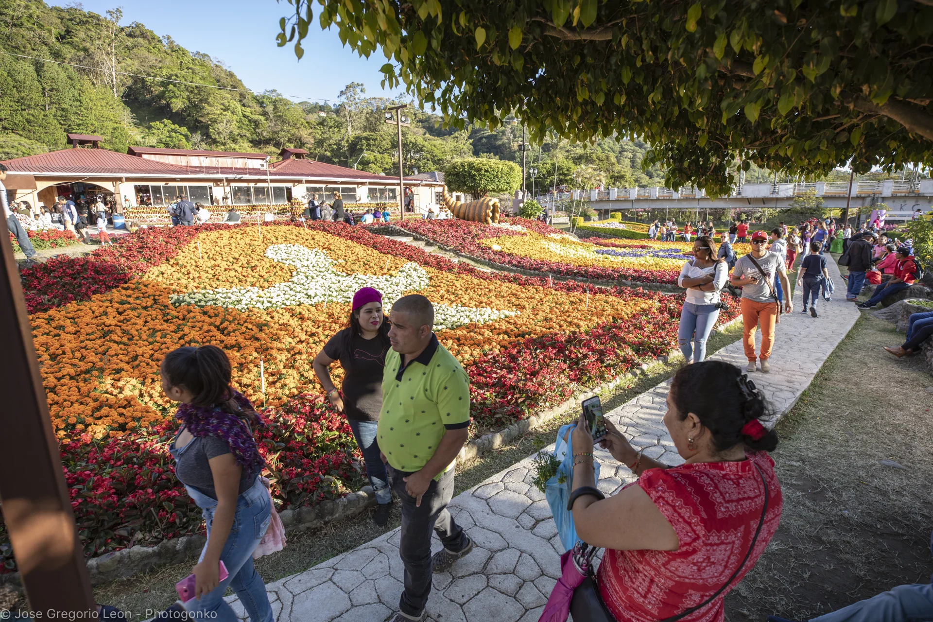 _N1A5135-Photogonko-01142019-Boquete.jpg