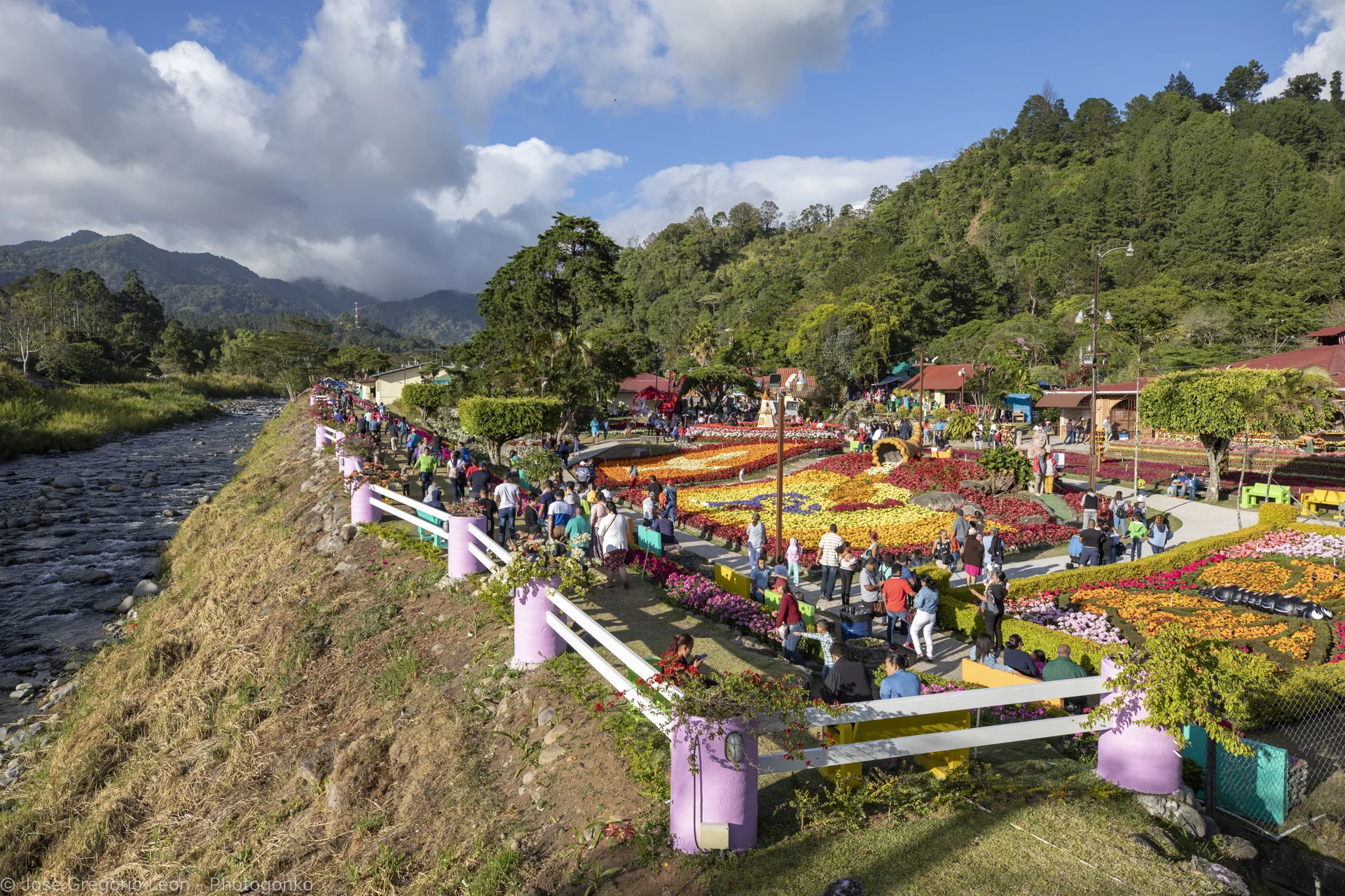 _N1A5098-Photogonko-01142019-Boquete.jpg