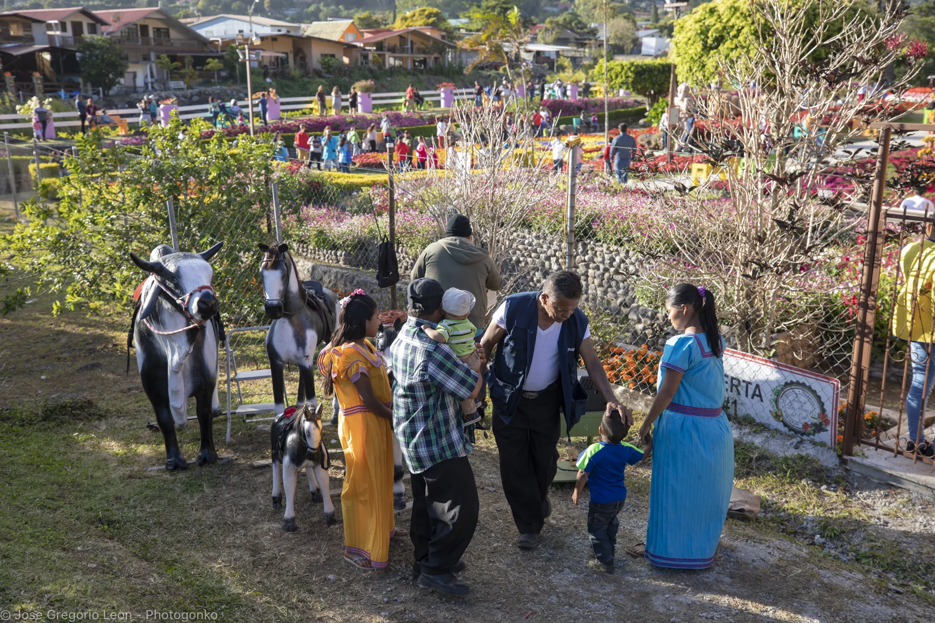 _N1A5100-Photogonko-01142019-Boquete.jpg