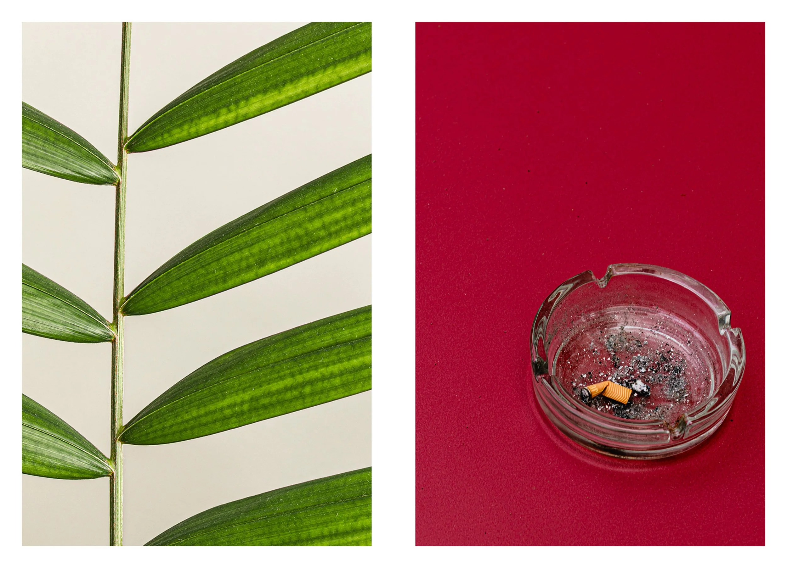 Dyptichs / Dípticos #7