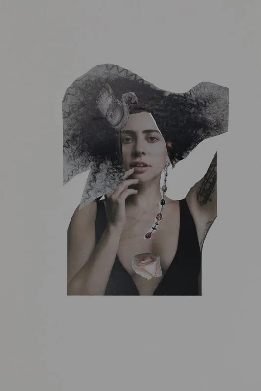 J_GL_8411-100.0 mm-Collage.jpg