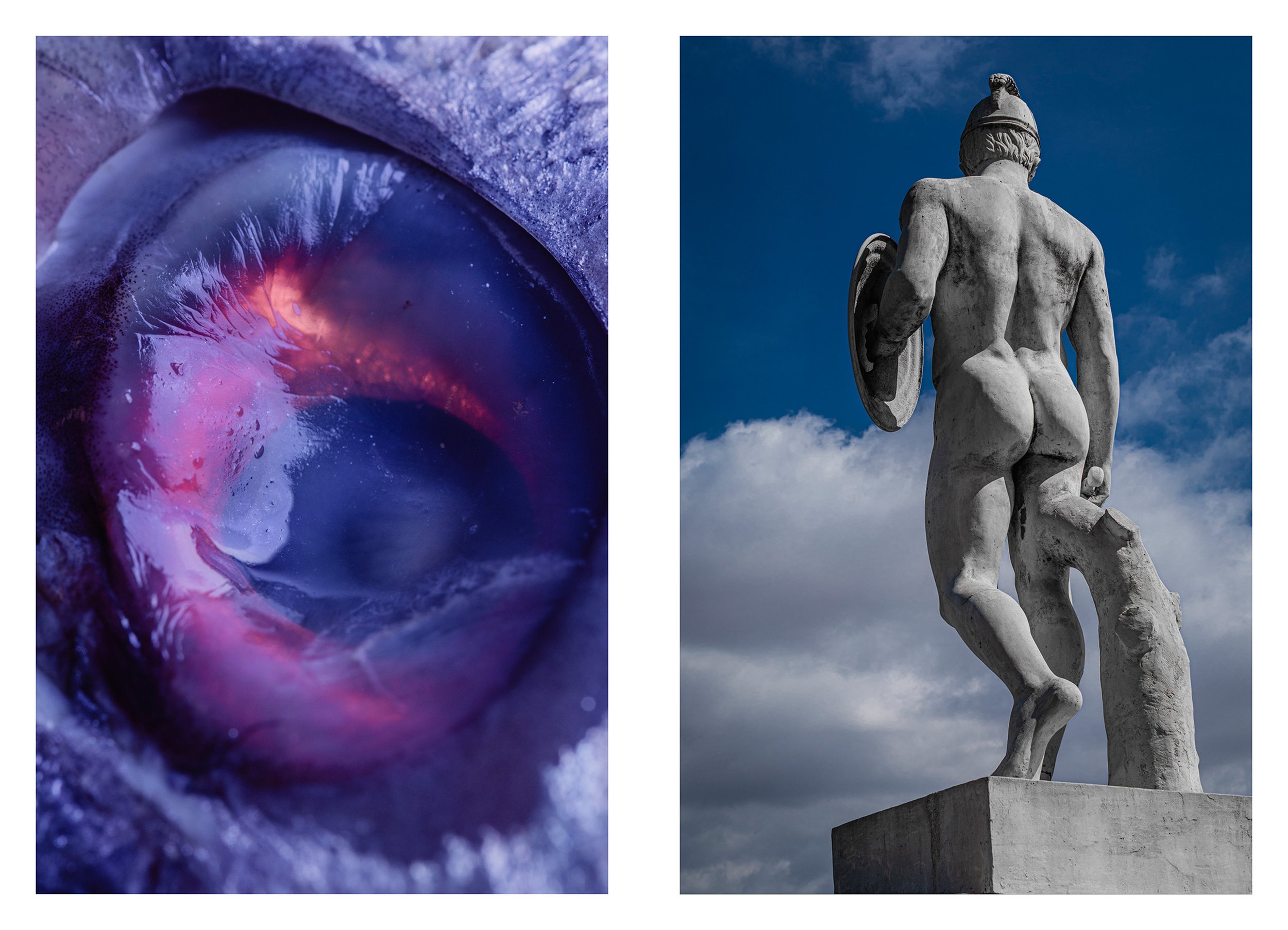 Dyptichs / Dípticos #4