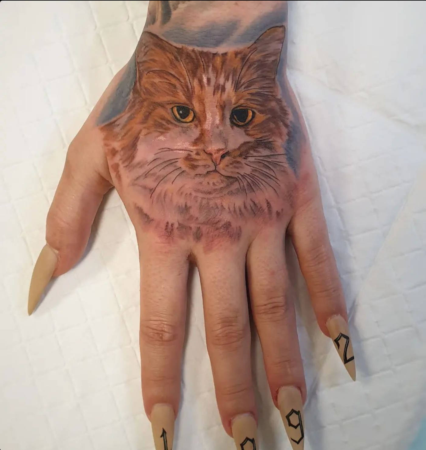 Screenshot 2023-07-11 at 13-03-01 Mick Medusa tattoo & laser (@mick_medusa) • Instagram photos and videos.png