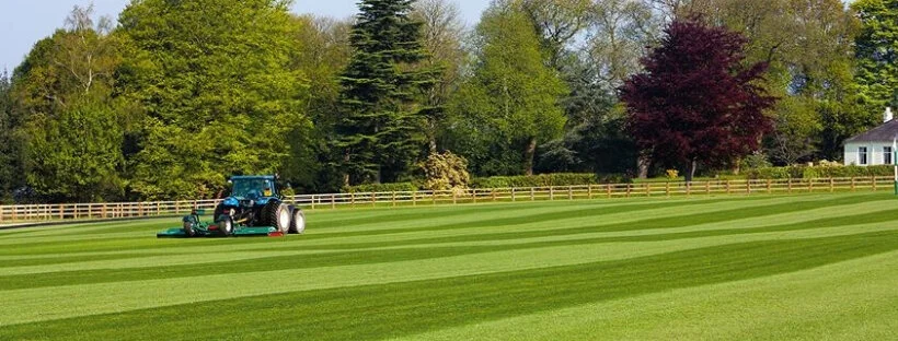 Untitled design-9.jpg