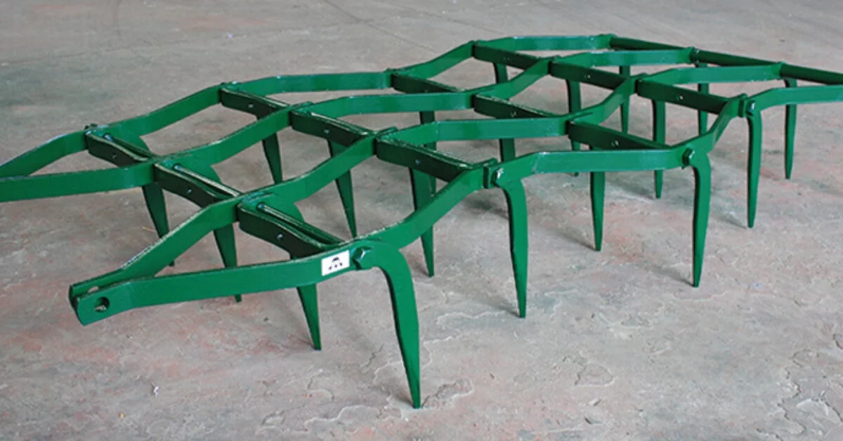 Untitled design (1).jpg