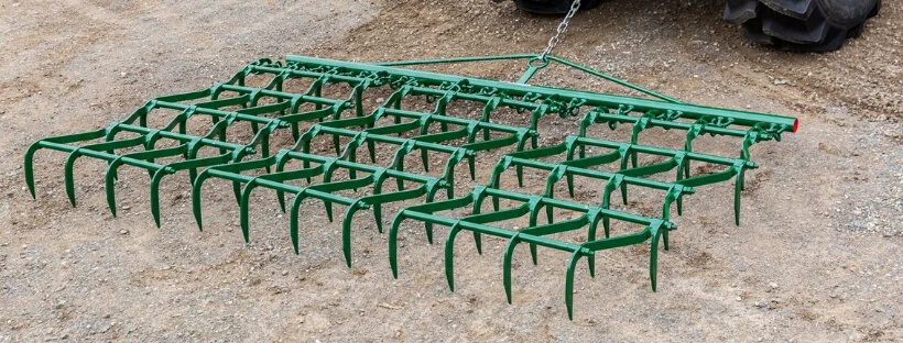 Untitled design (3).jpg