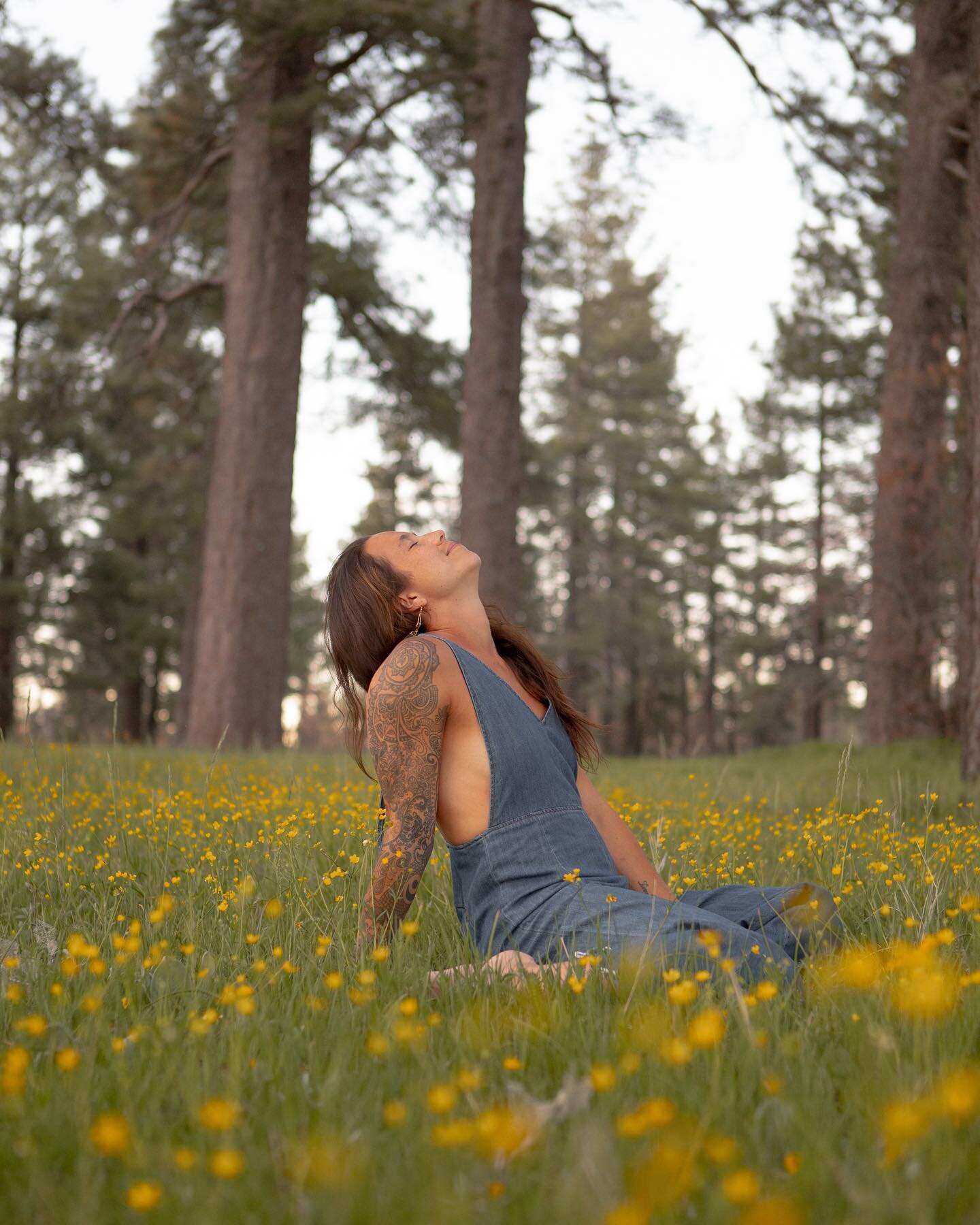 The mountains are always calling 🌄 
.
Colorado bound with my love and the fur babes, see y&rsquo;all next week! 
_____________________________________________
Join me in the mountains! Upcoming heart offerings in nature 🌿🌞🌈🌱 💫🌲 
.
✨✨✨SOULSTOKE