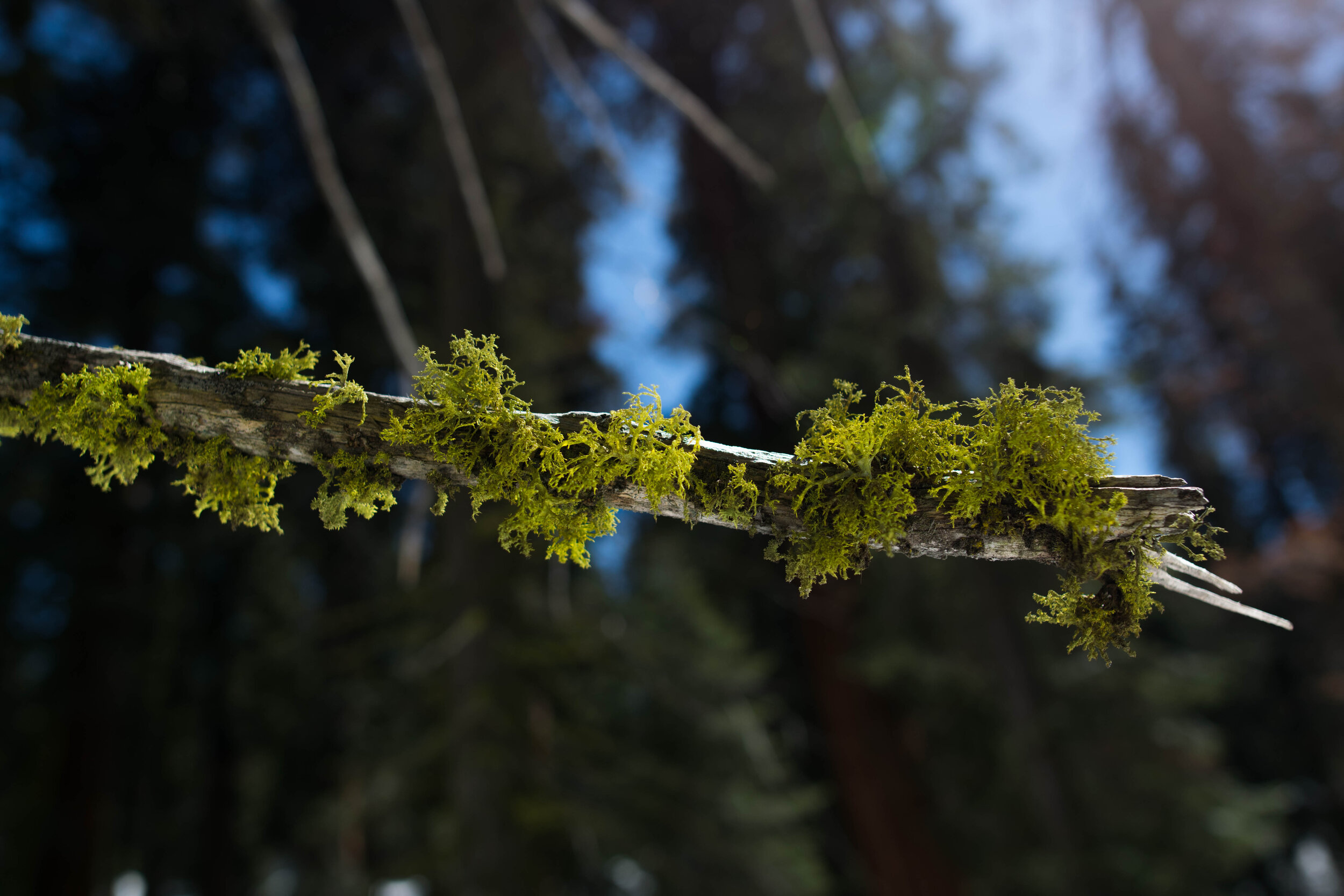 DSC_5744.jpg