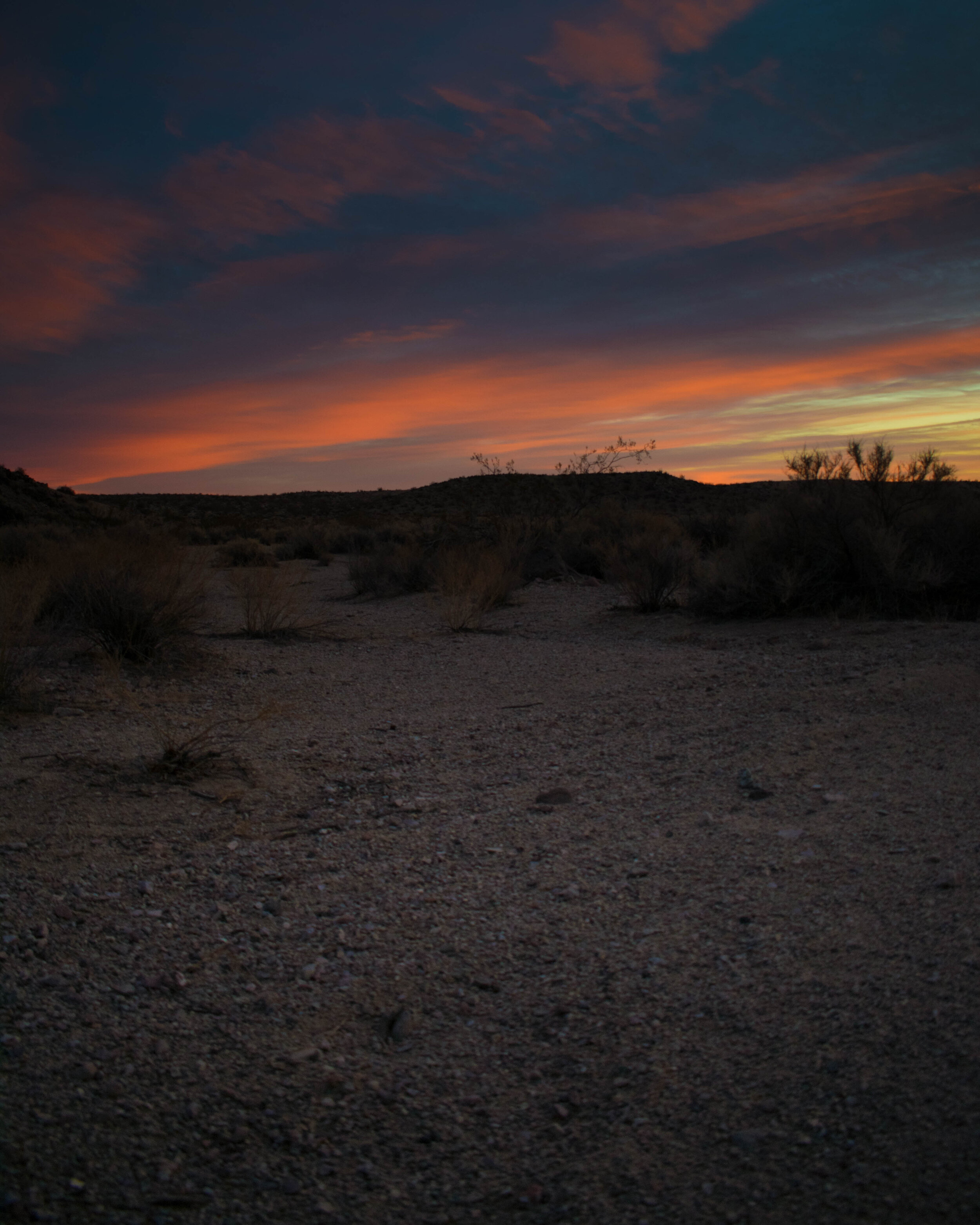 DSC_8590.jpg