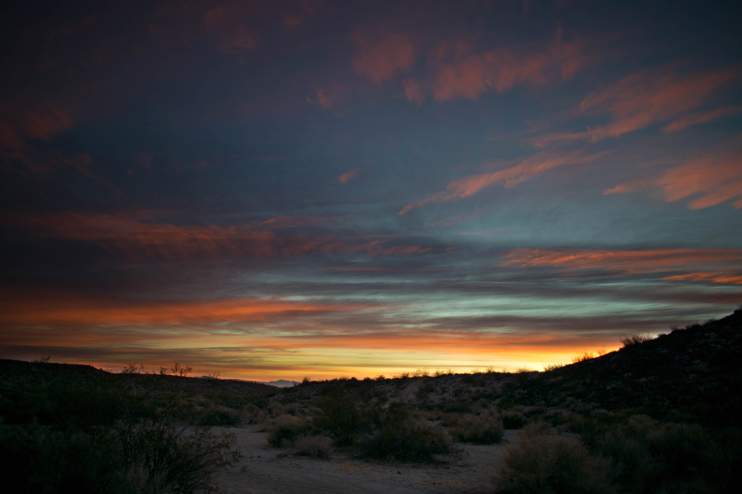 DSC_8597.jpg