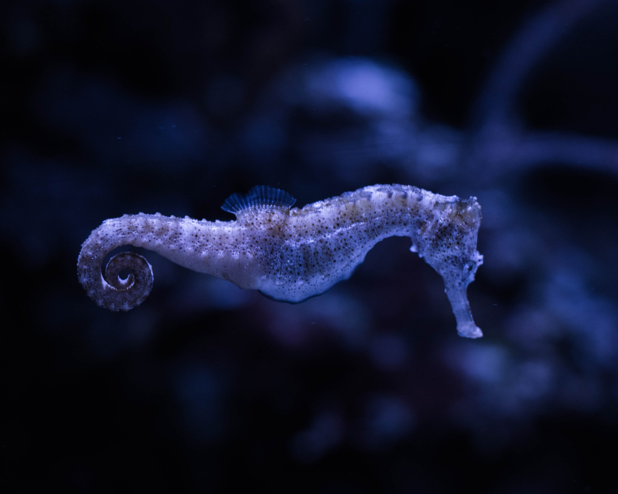 DSC_3186.jpg