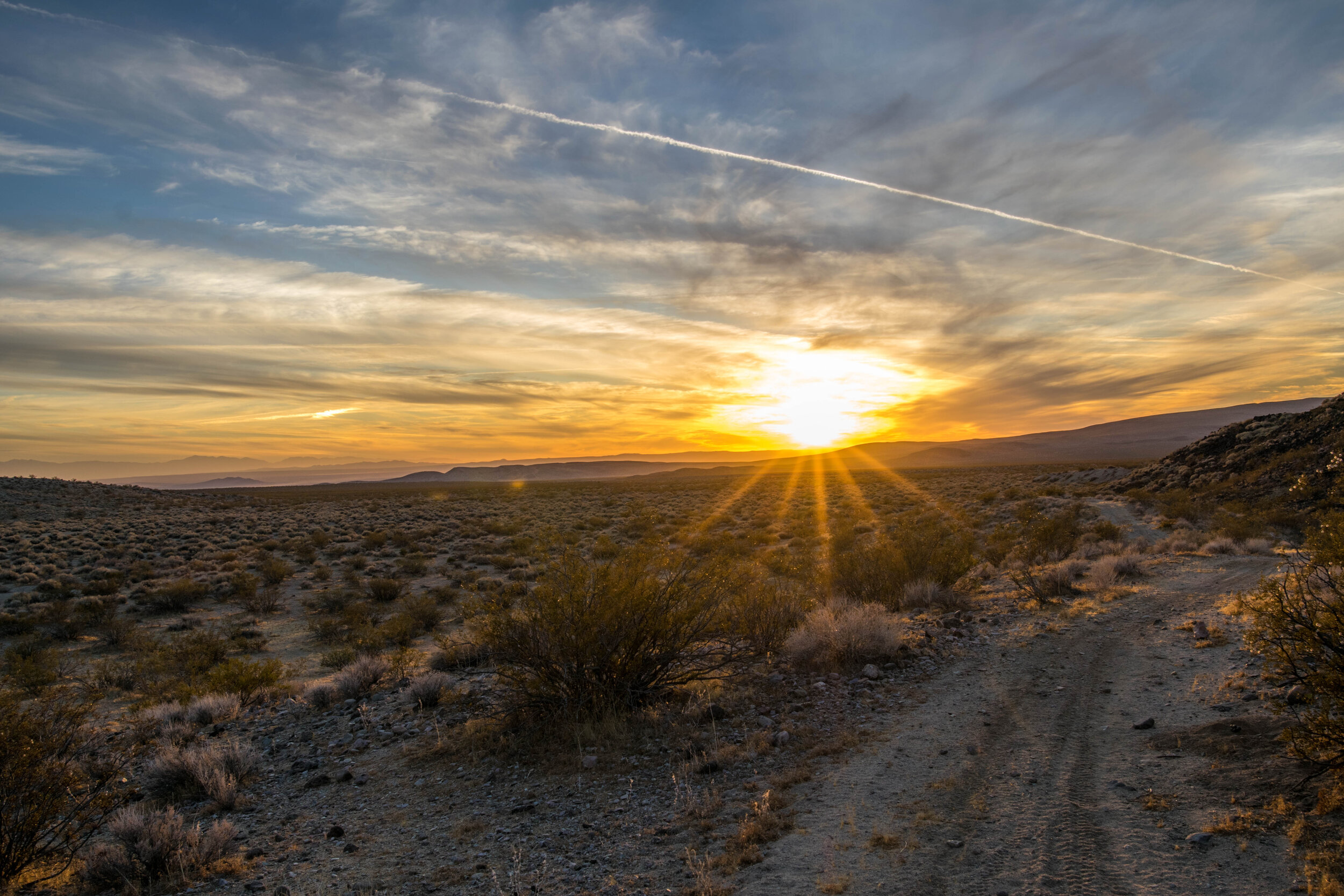 DSC_0622.jpg