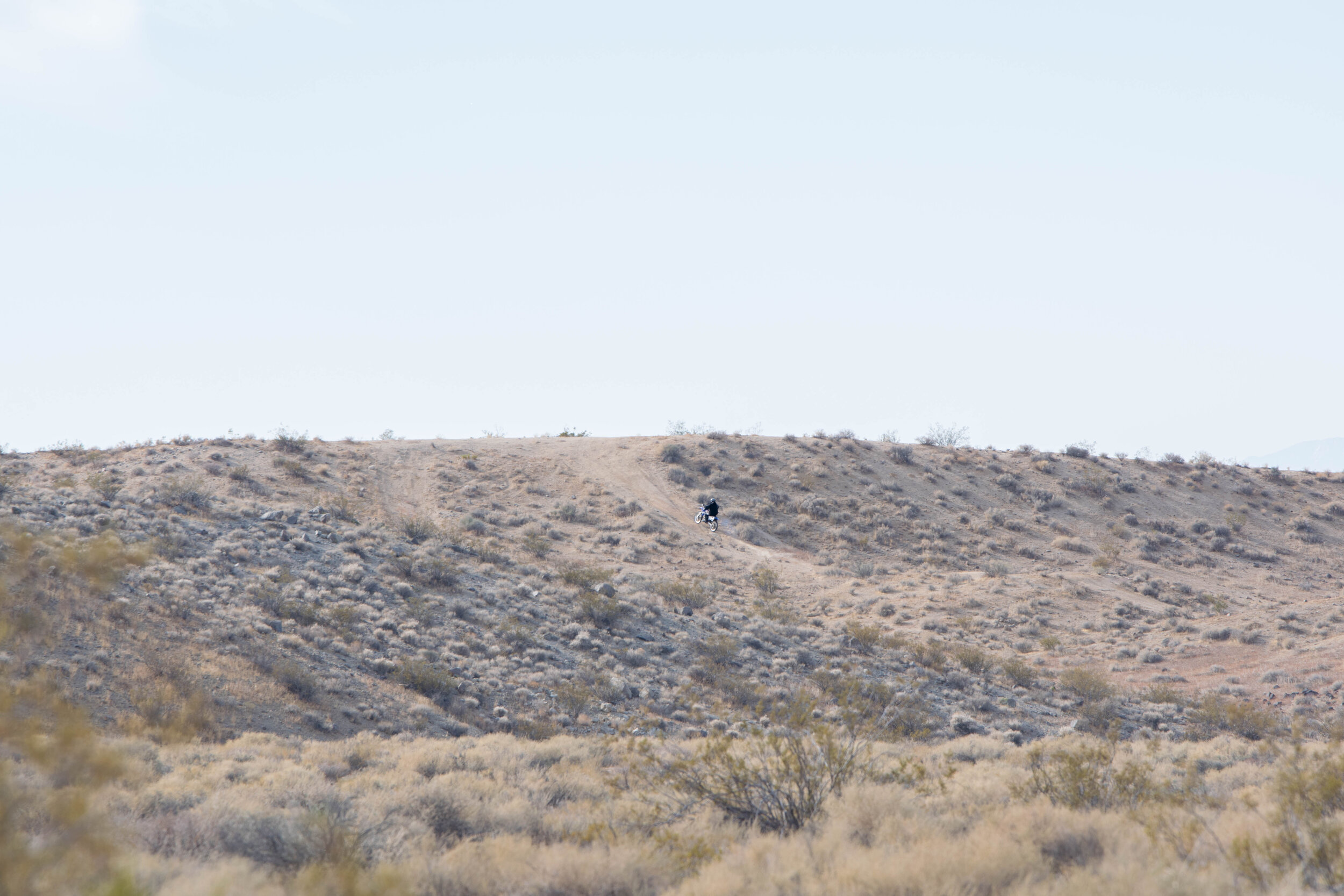DSC_0771.jpg