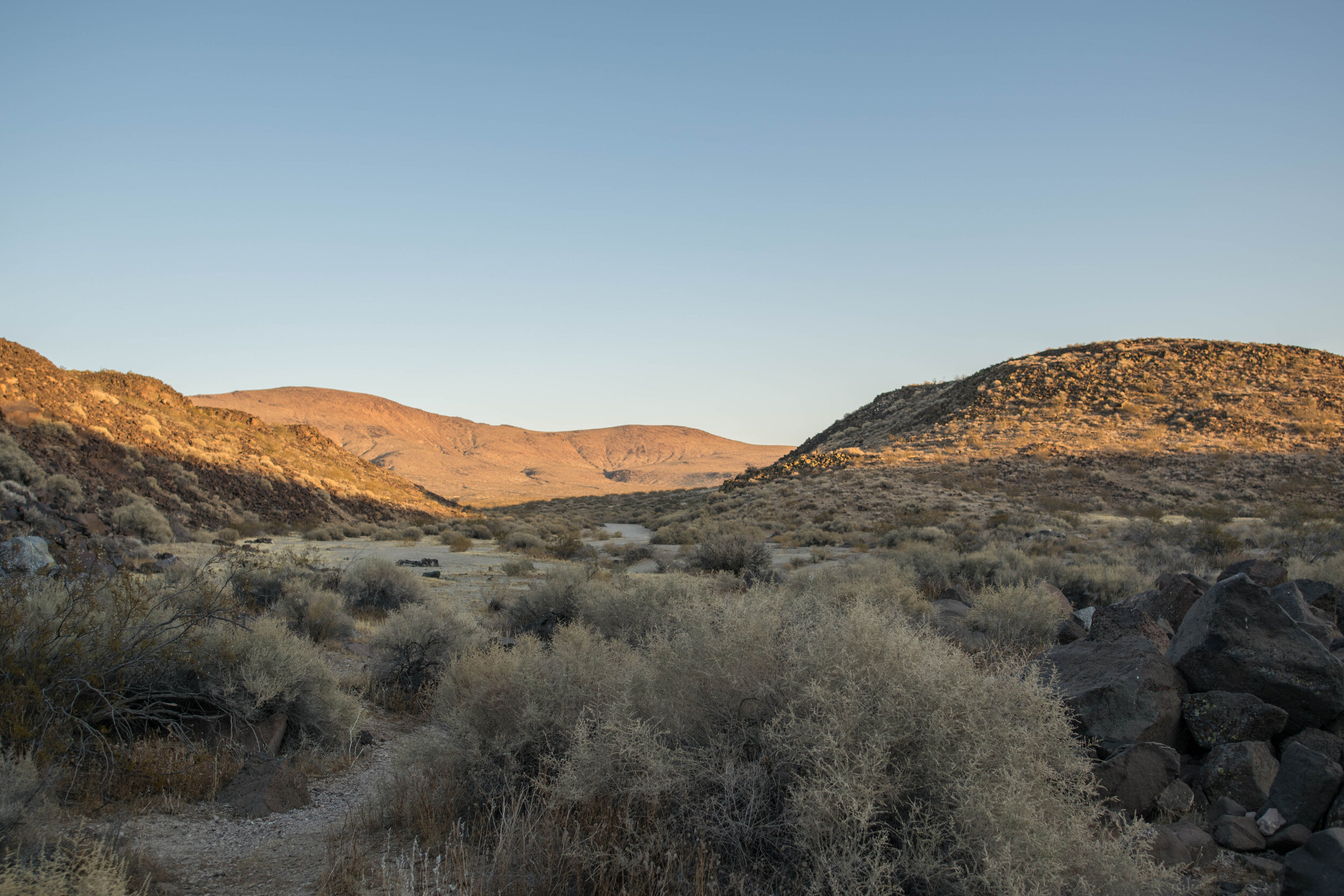 DSC_0887.jpg