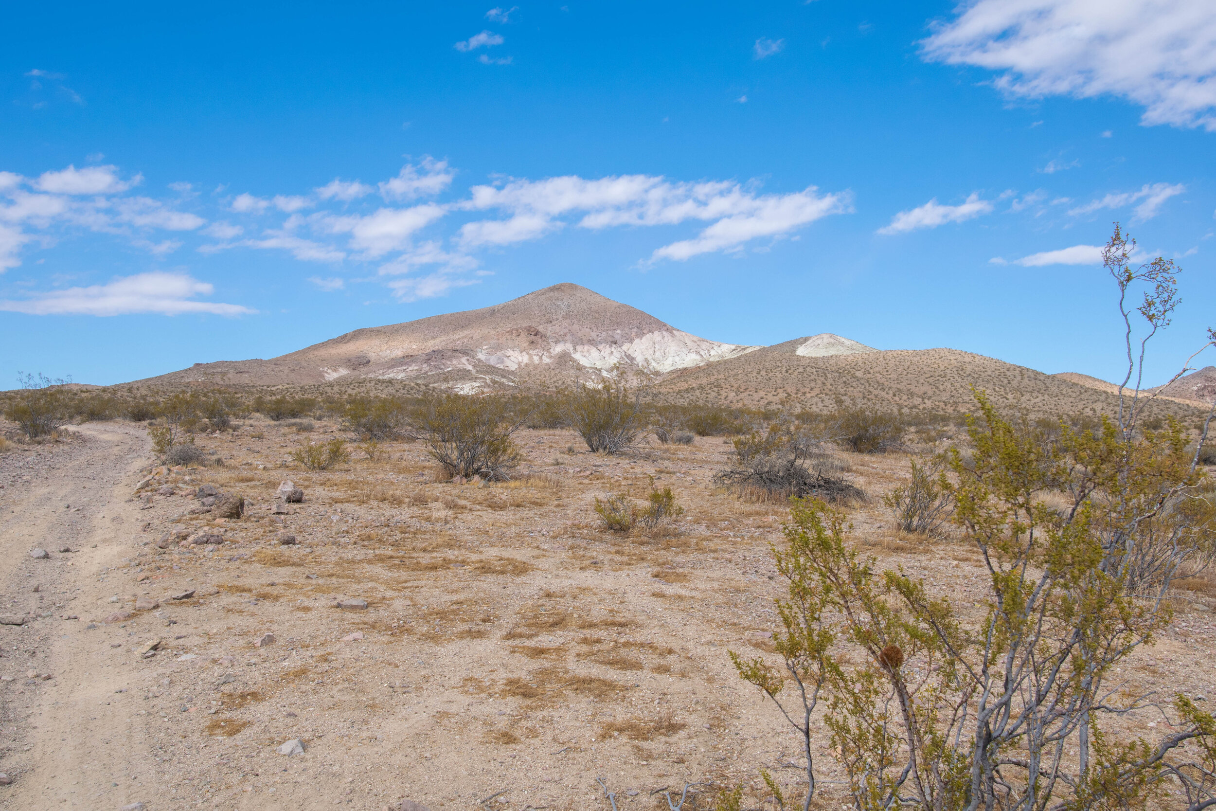 DSC_1316.jpg