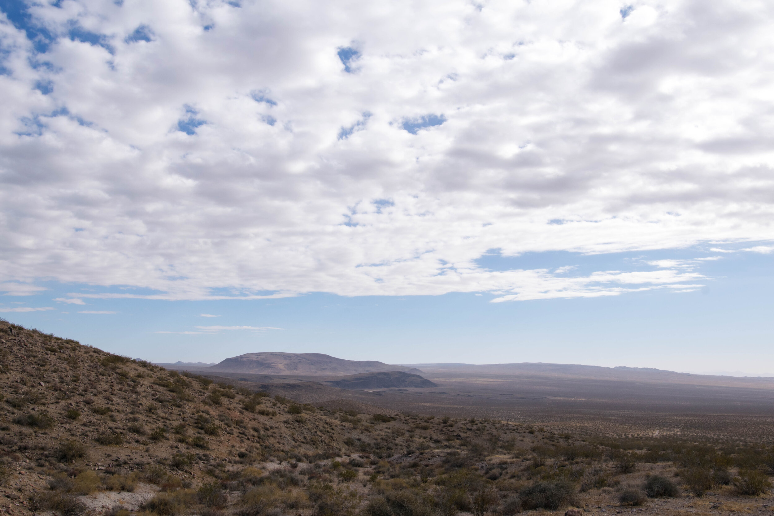 DSC_1331.jpg