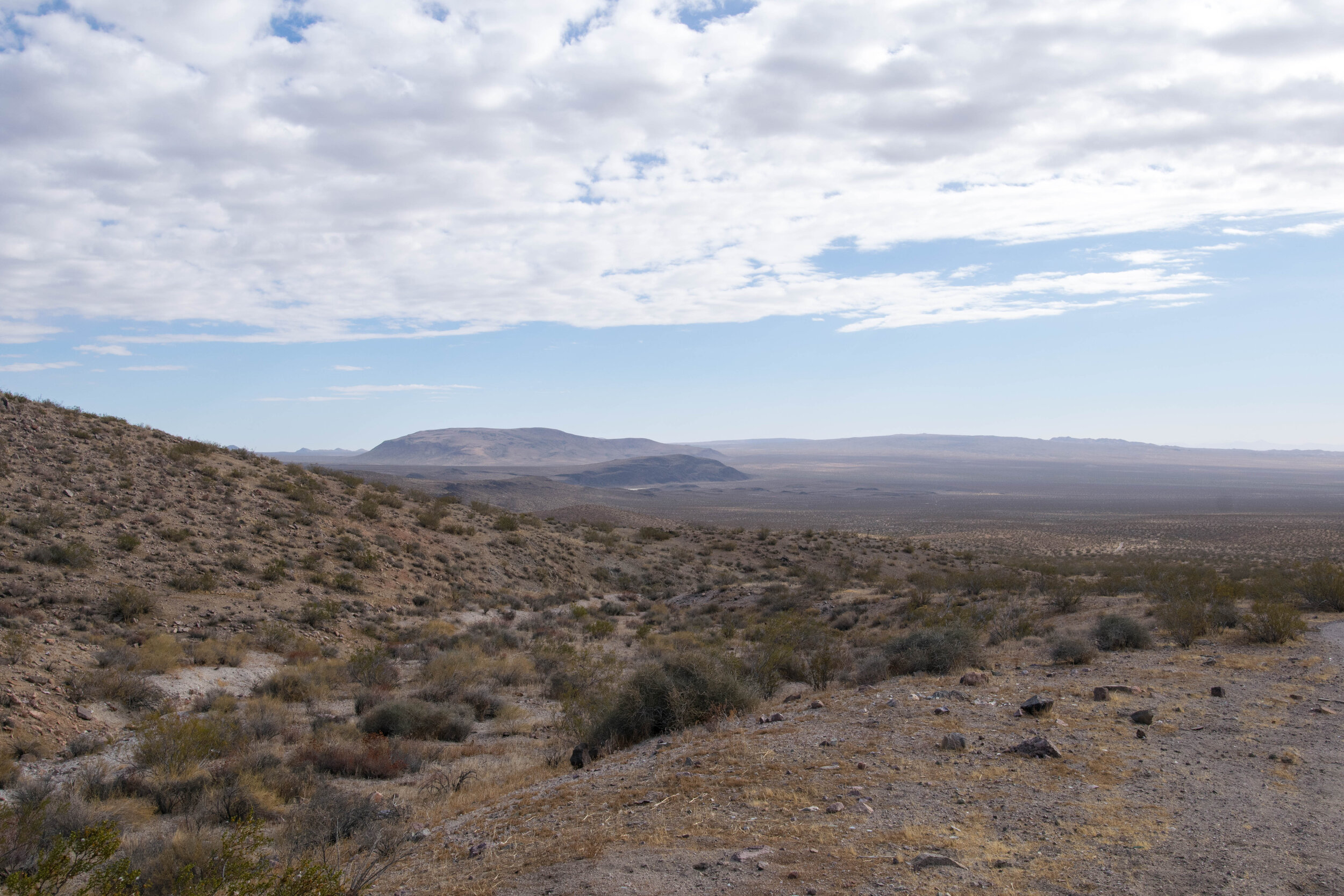 DSC_1330.jpg