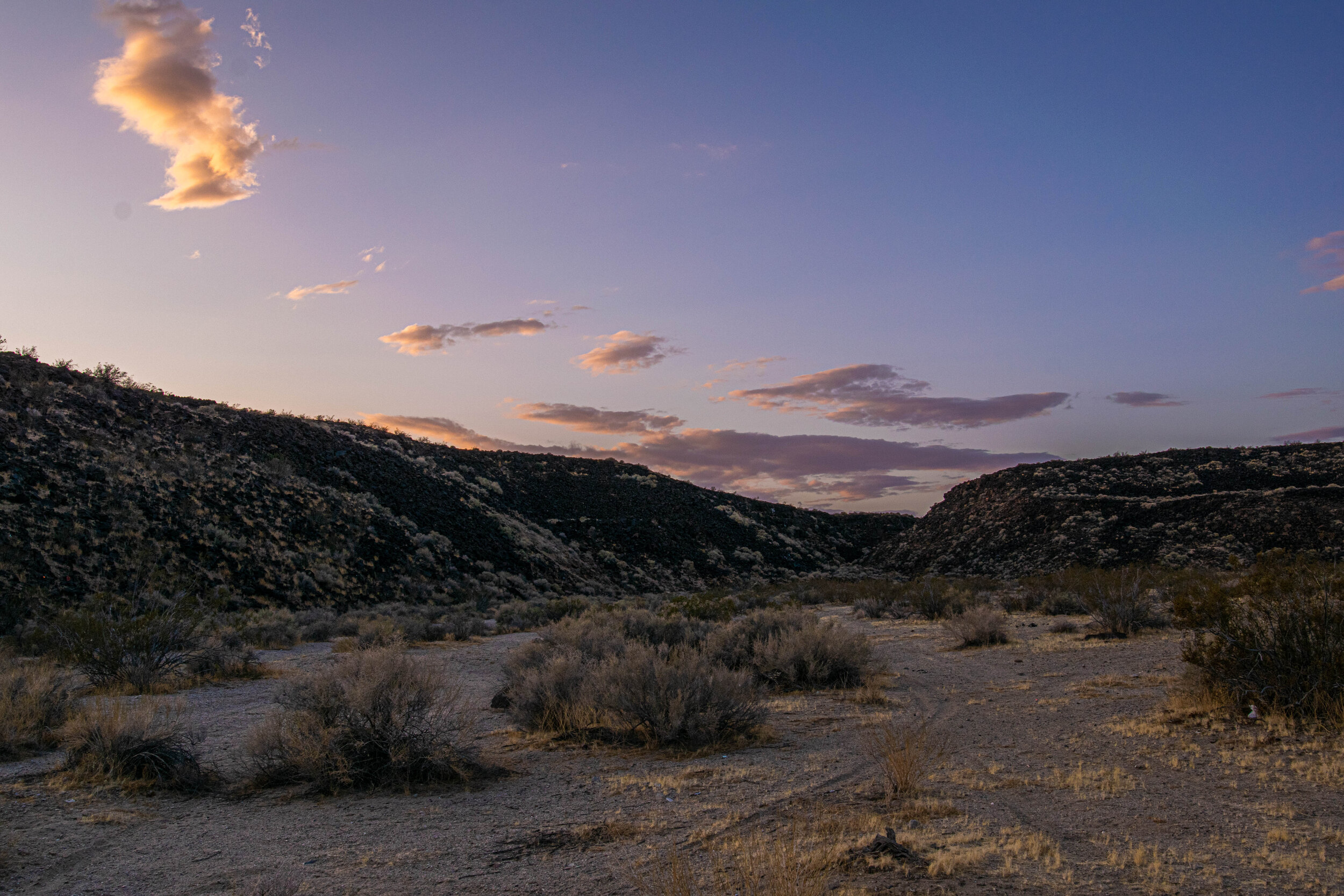 DSC_2315.jpg
