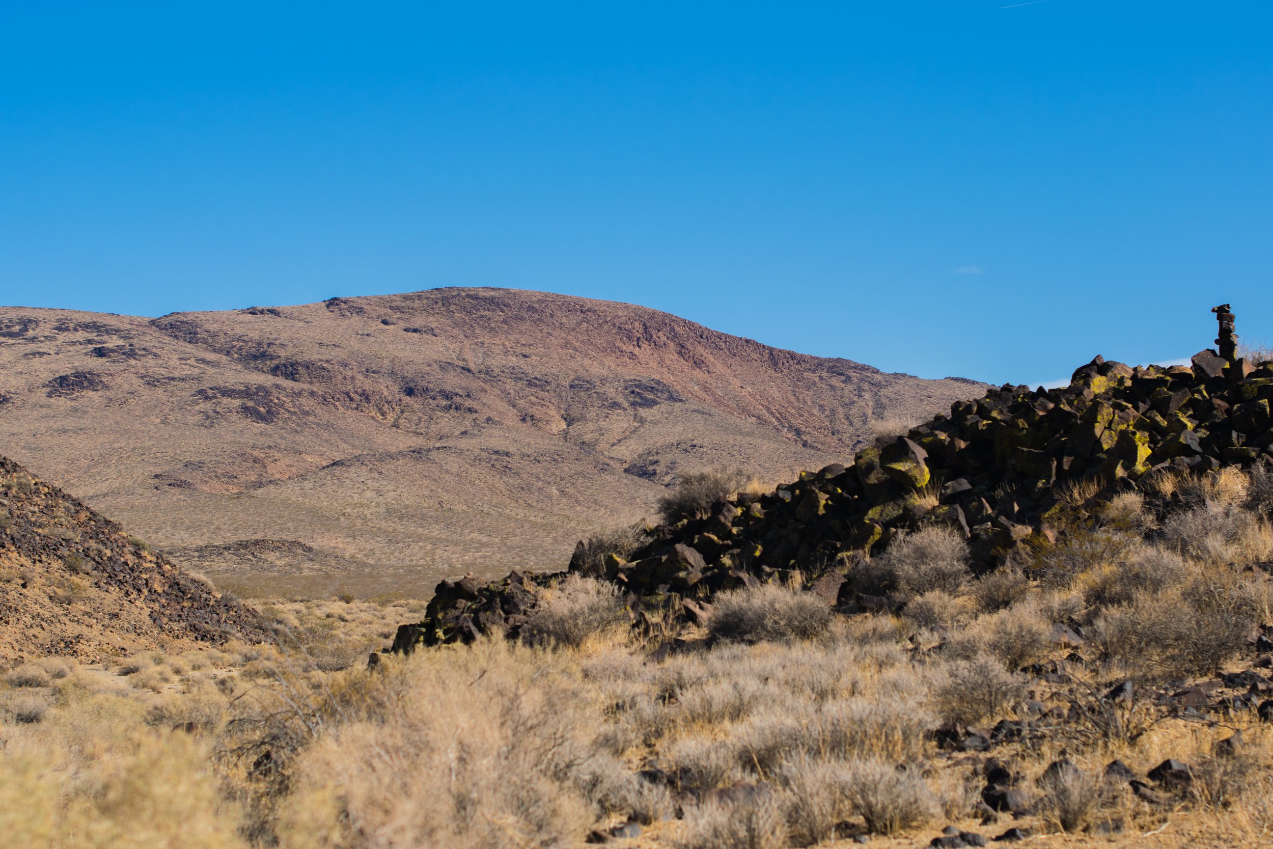 DSC_6353.jpg