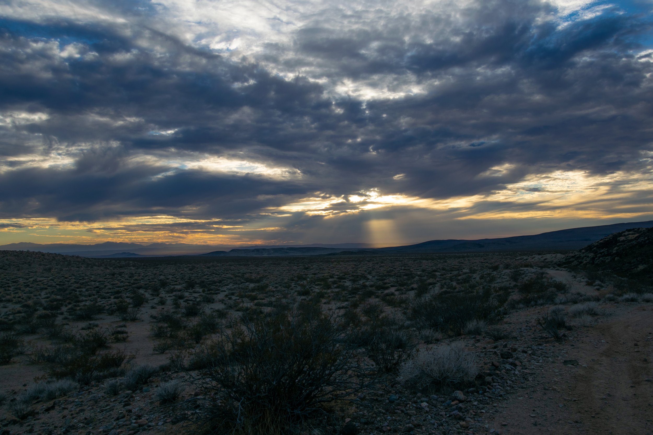 DSC_6852.jpg