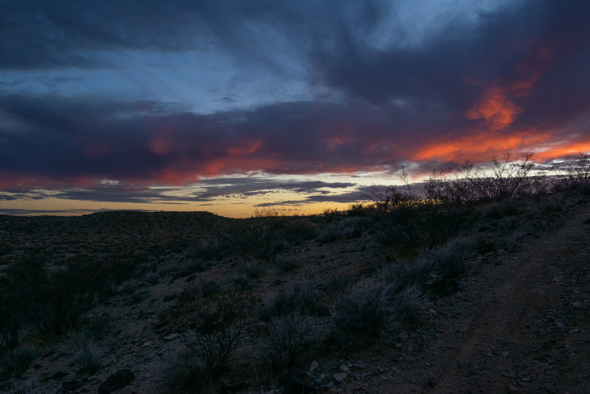 DSC_6943.jpg