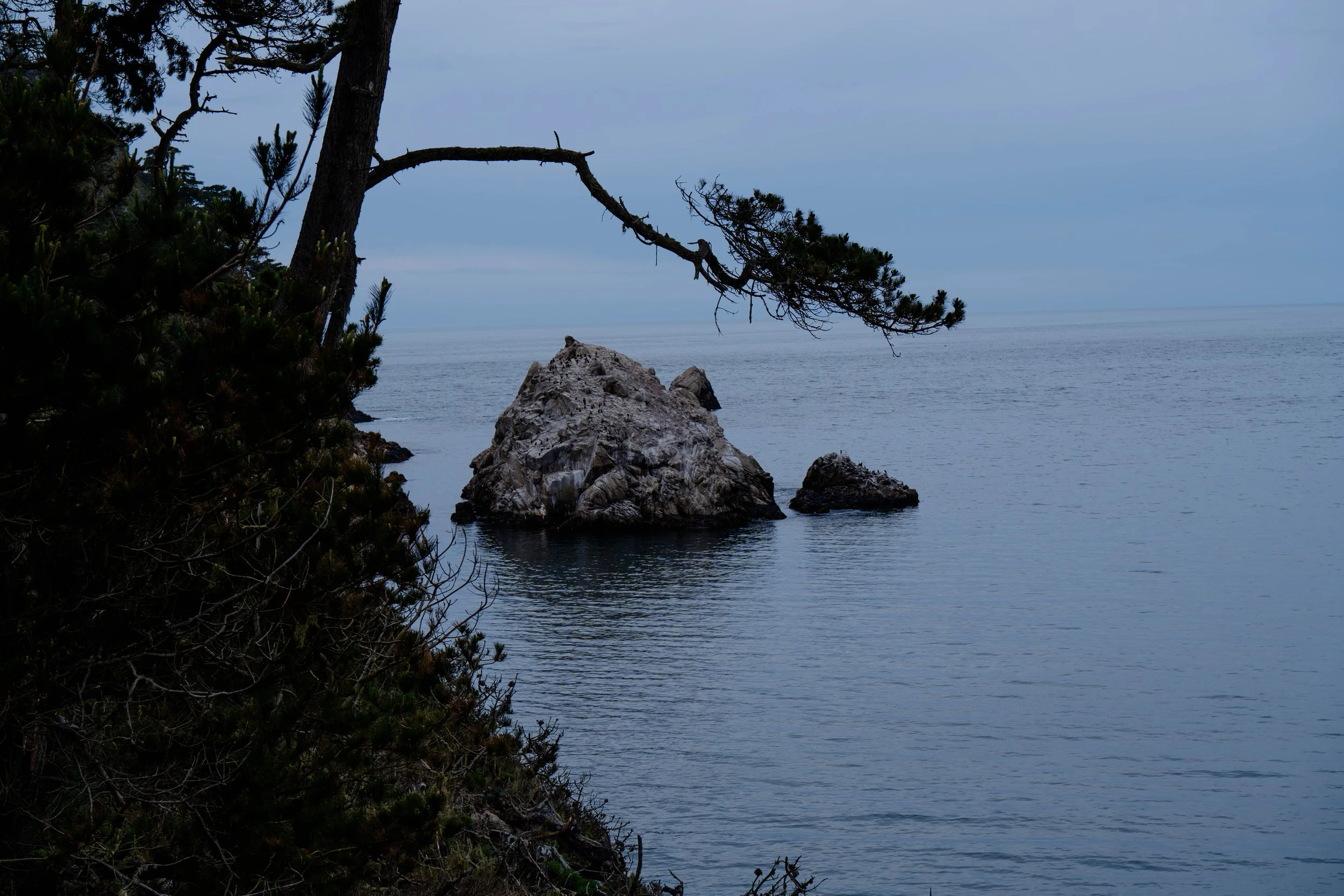 DSC00475.JPG