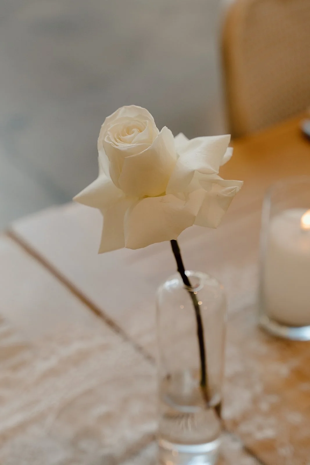 DSC05871 (2).jpg
