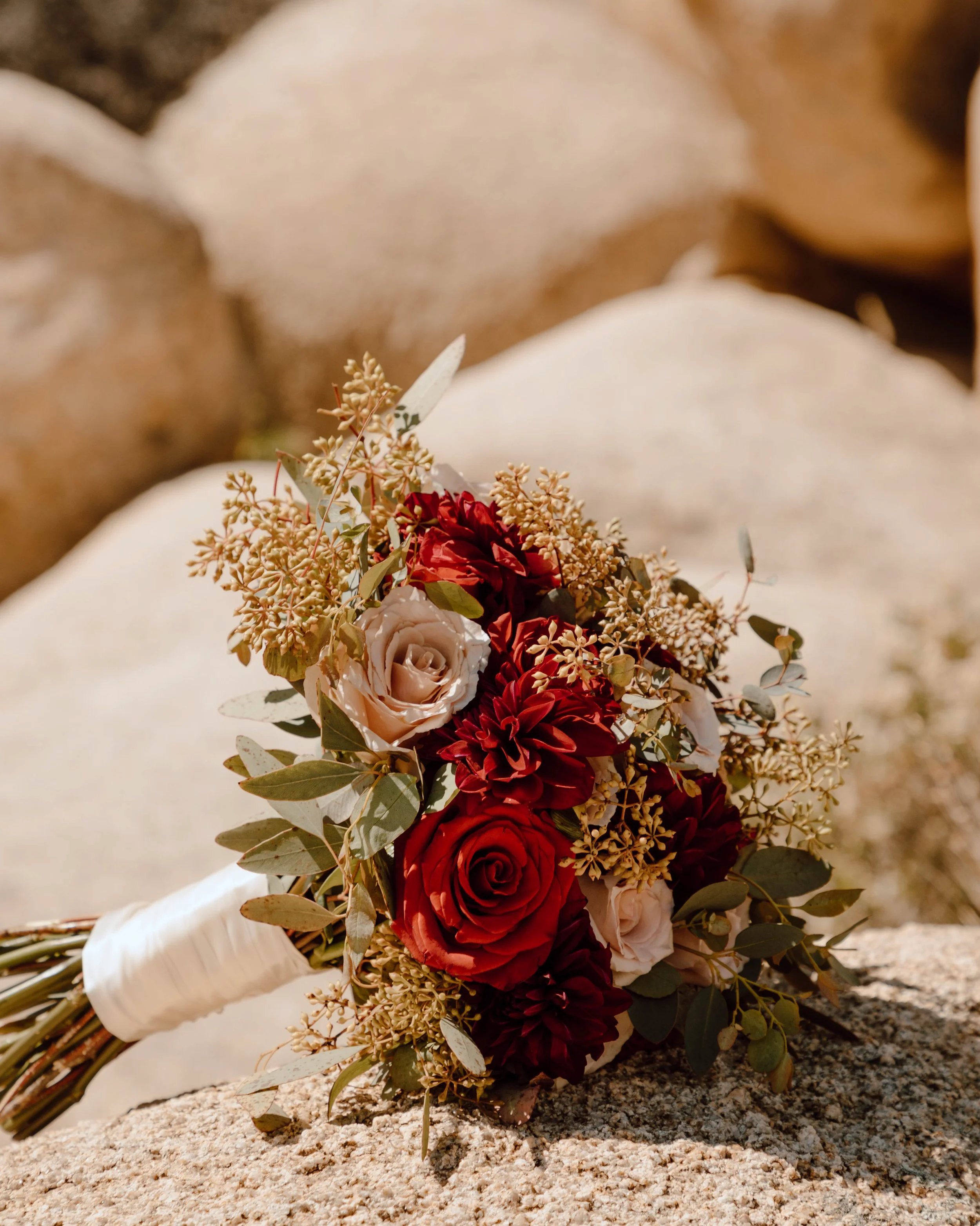 JoshuaTree-592.jpg