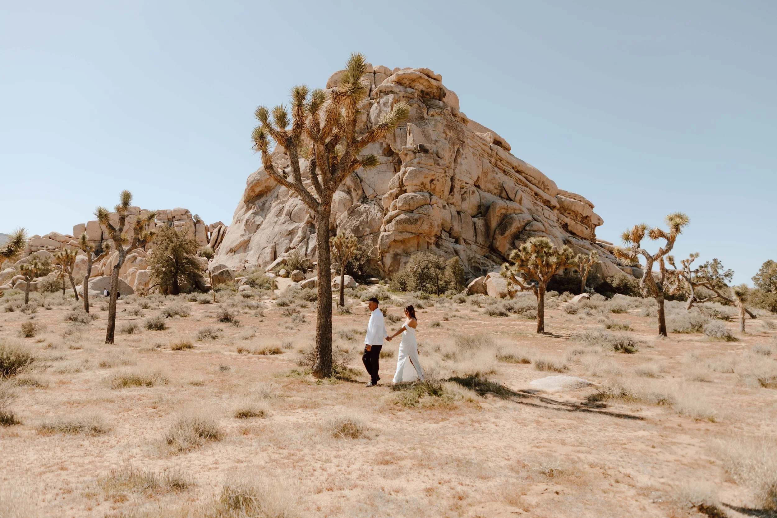 JoshuaTree-408.jpg