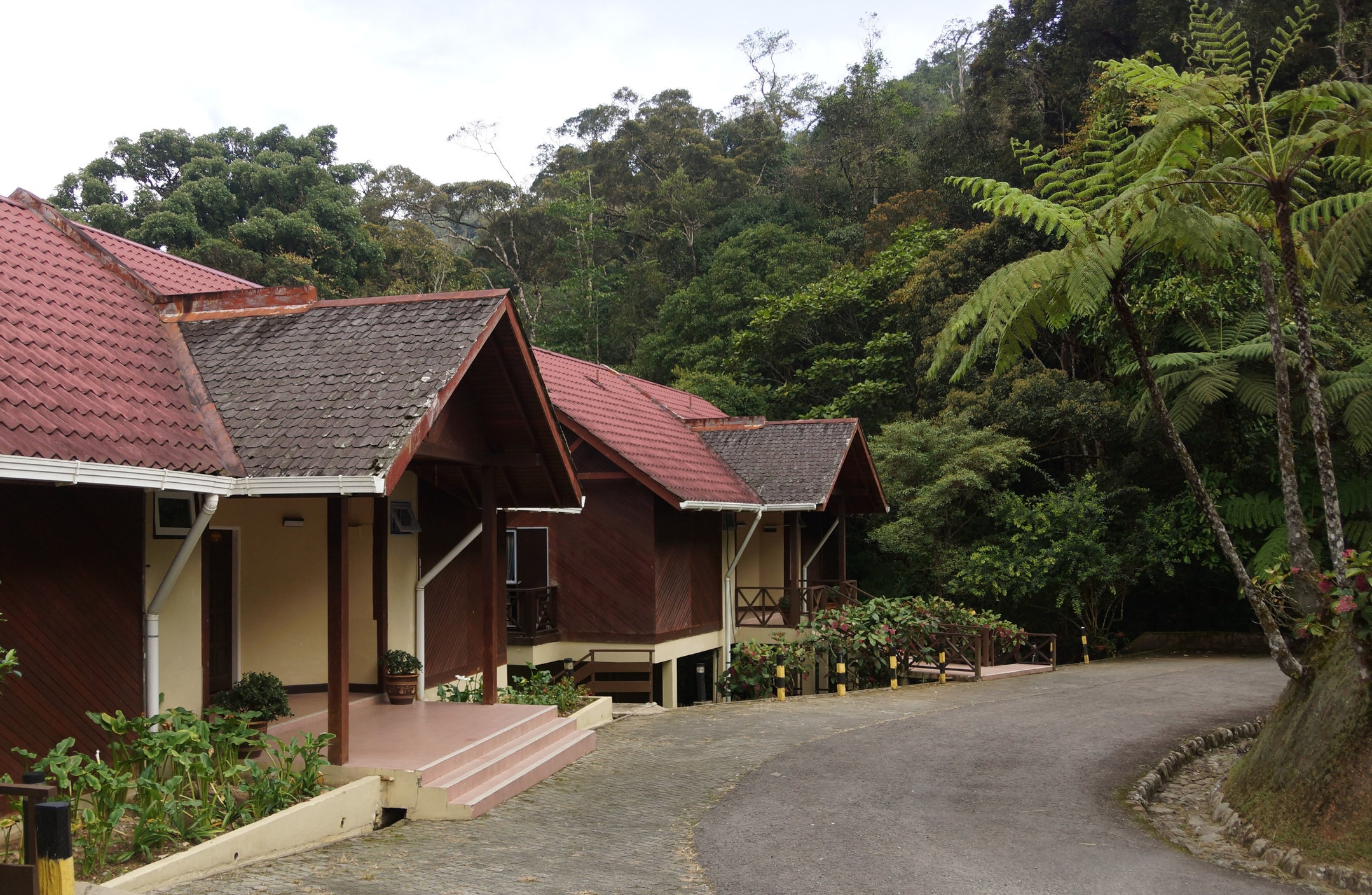 Eco-lodges
