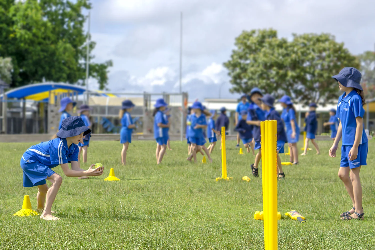 Sport_fields_1_web.jpg