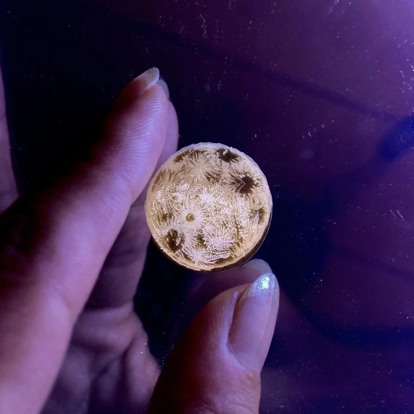 ひとつまみの
A pinch of..
.
.
.
.

#moonlight #engraved #lightbox #konatsuhonda #本田小夏
