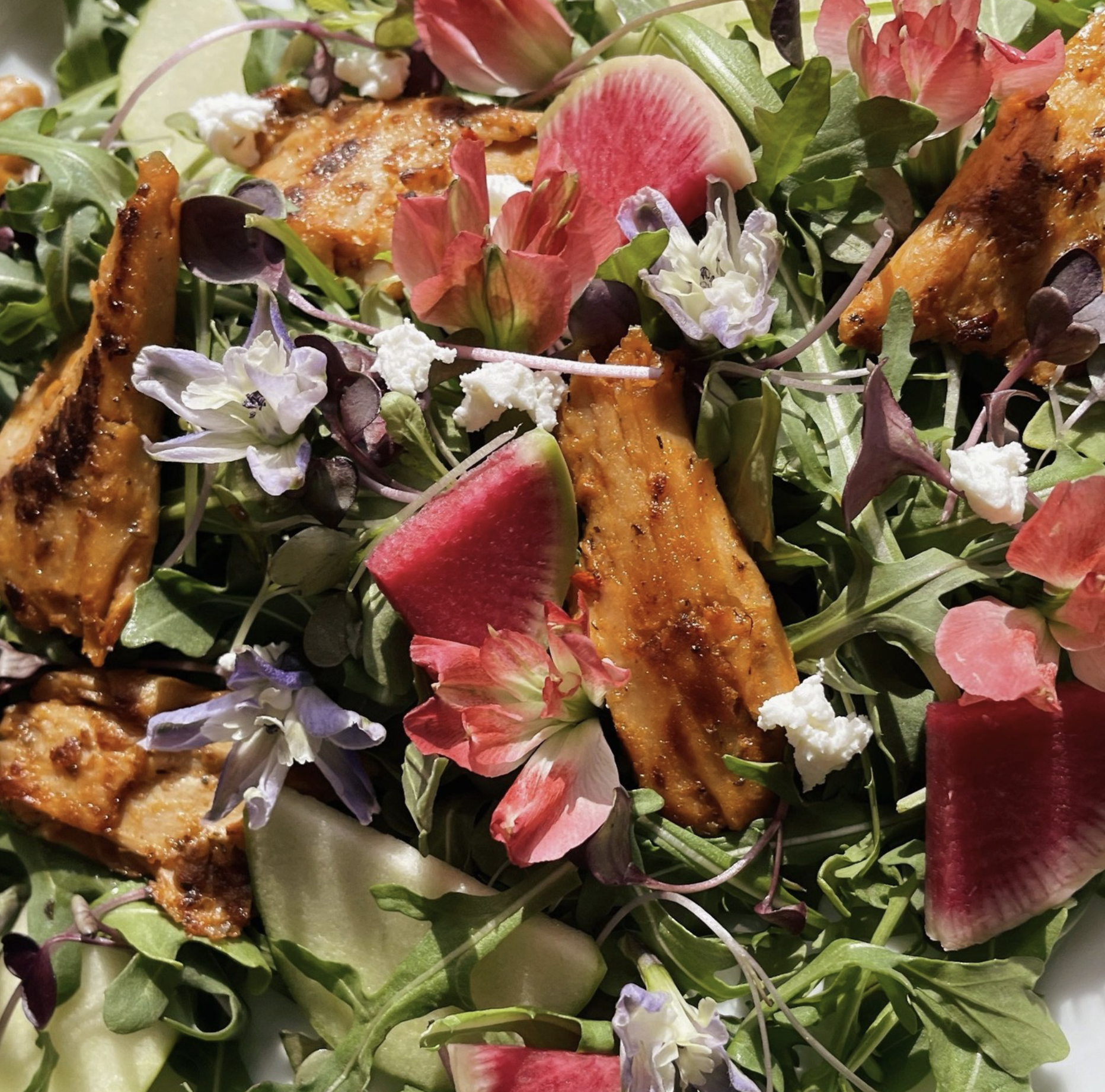 Screenshot 2025-01-04 at 8.33.41 PM.png