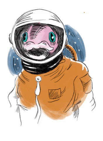 Animated GIF-downsized_large.gif