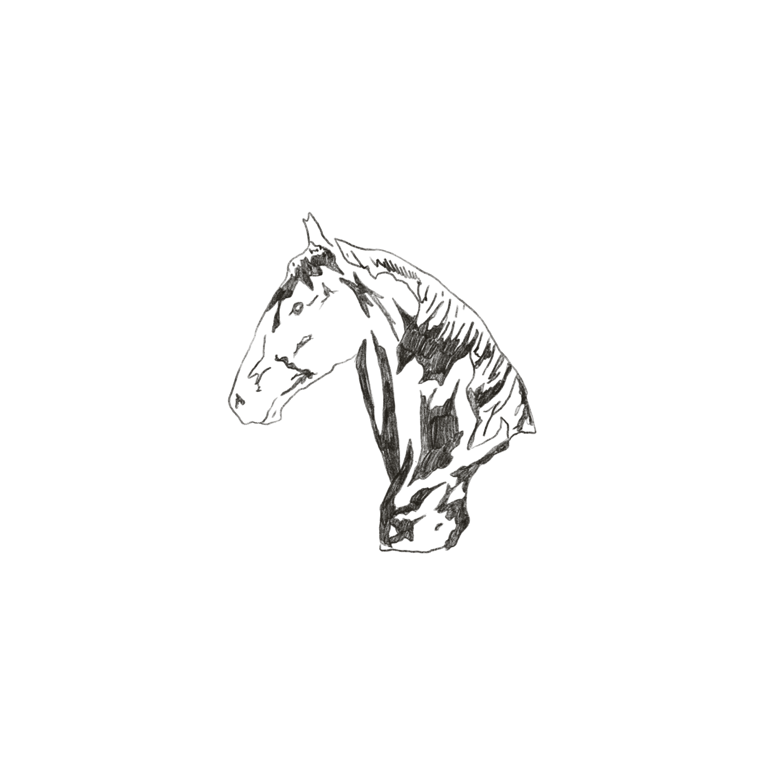 IMG_6045.PNG