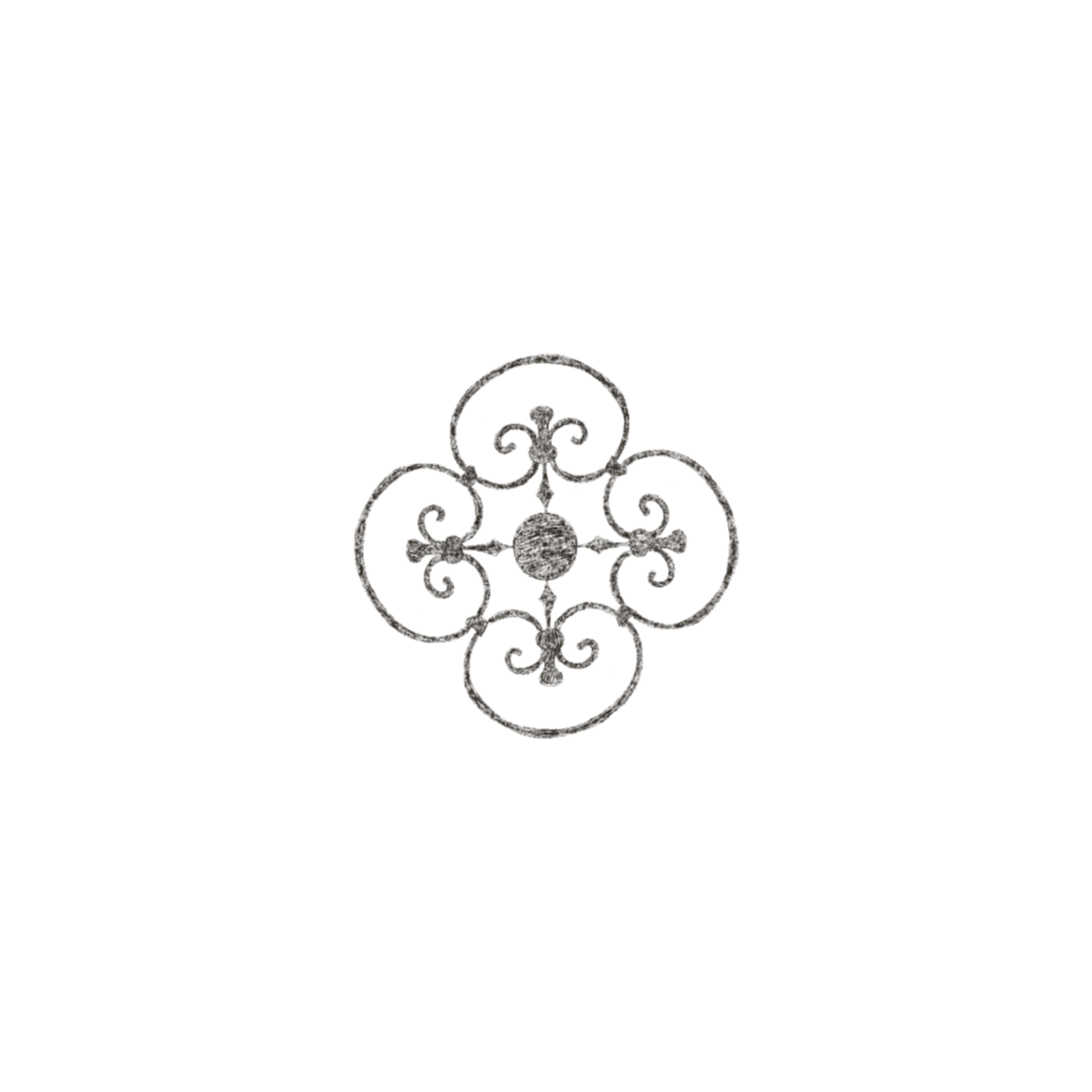 IMG_6102.PNG
