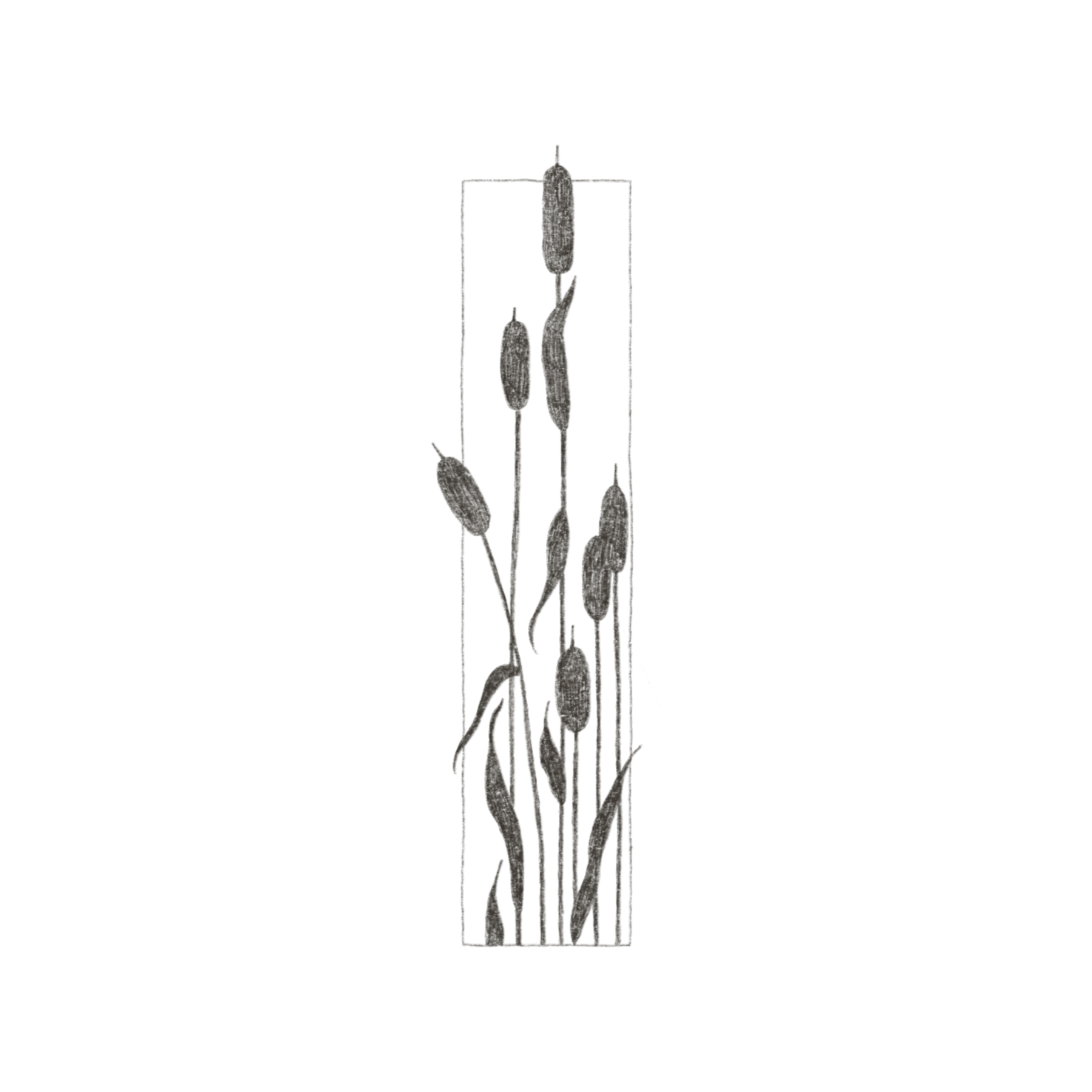 IMG_6005.PNG