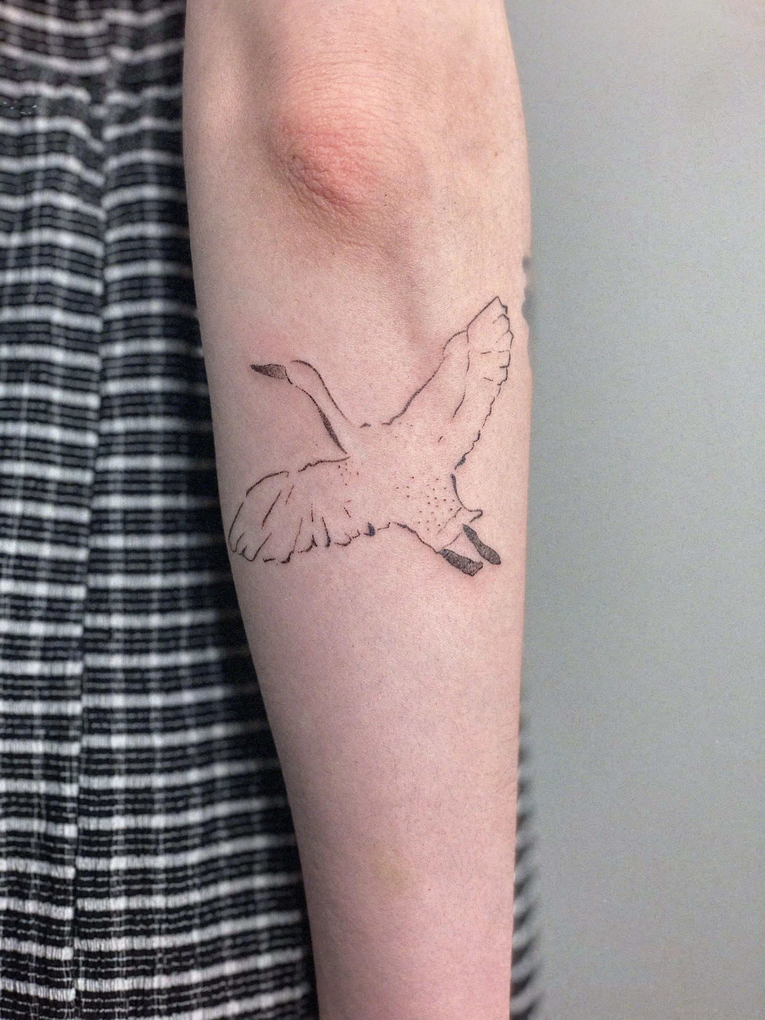 FullSizeRender 6.JPG