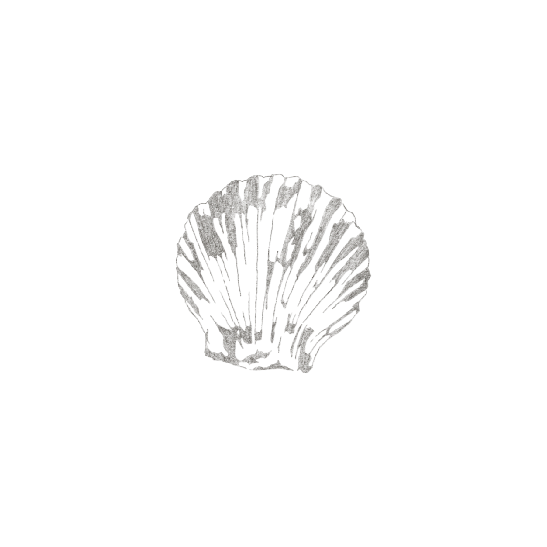 IMG_6007.PNG