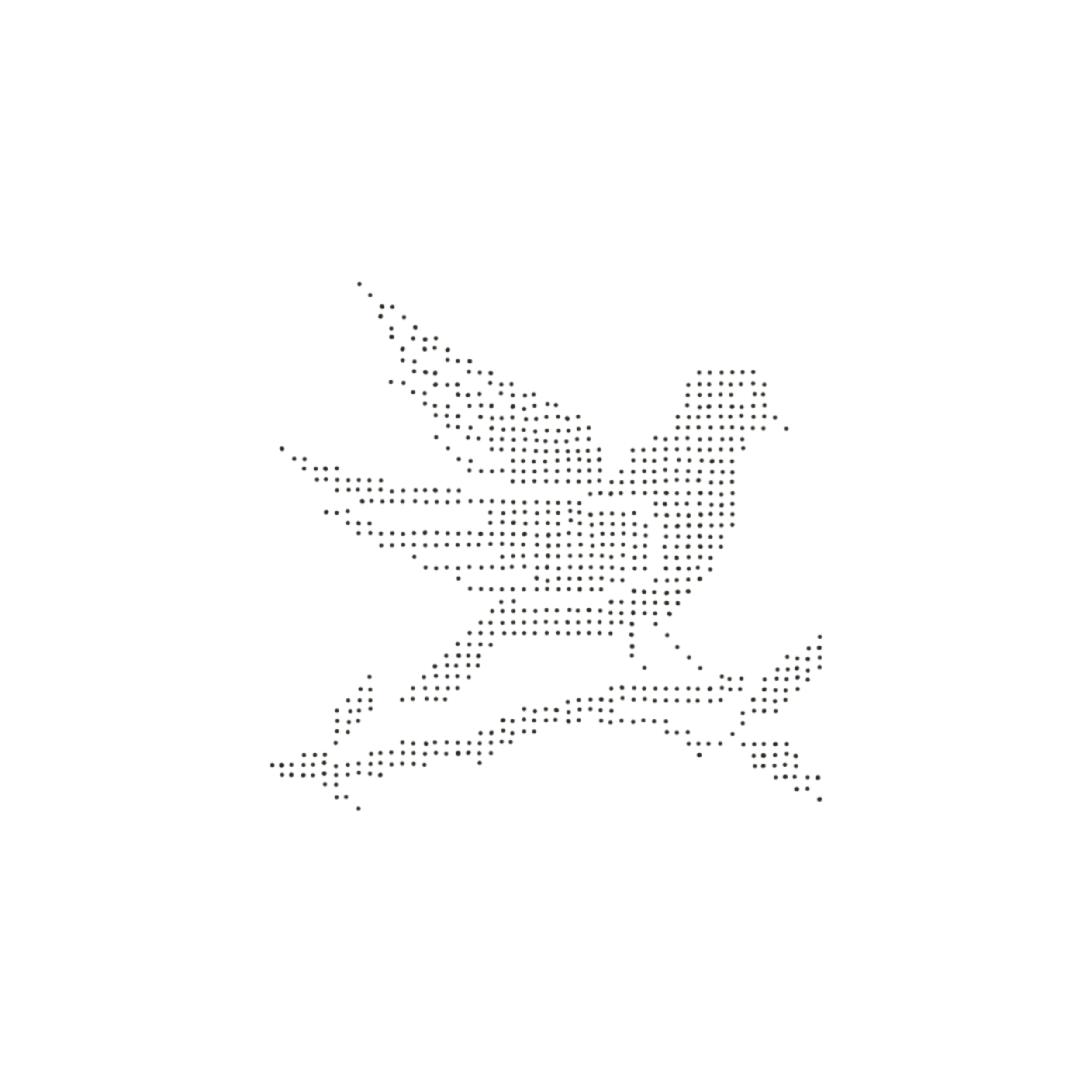 cross stitch bird