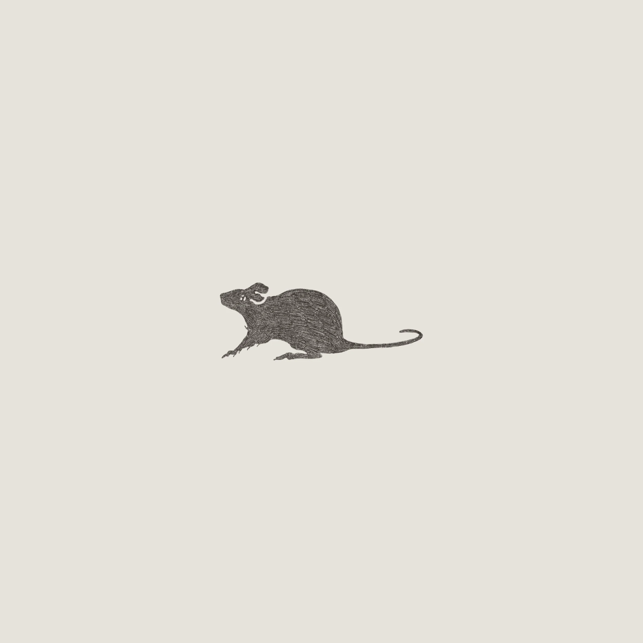 IMG_5786.jpeg