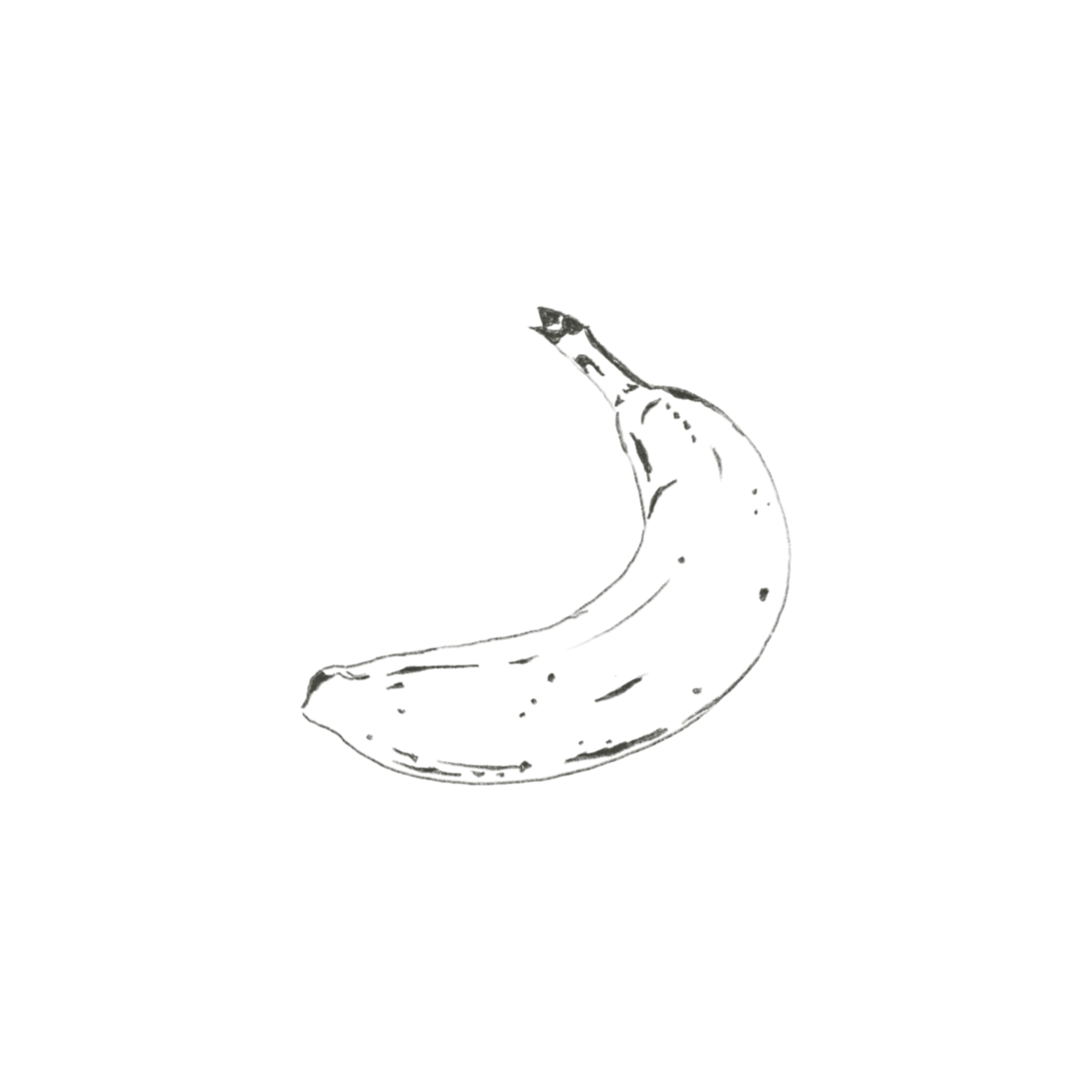 IMG_6067.PNG