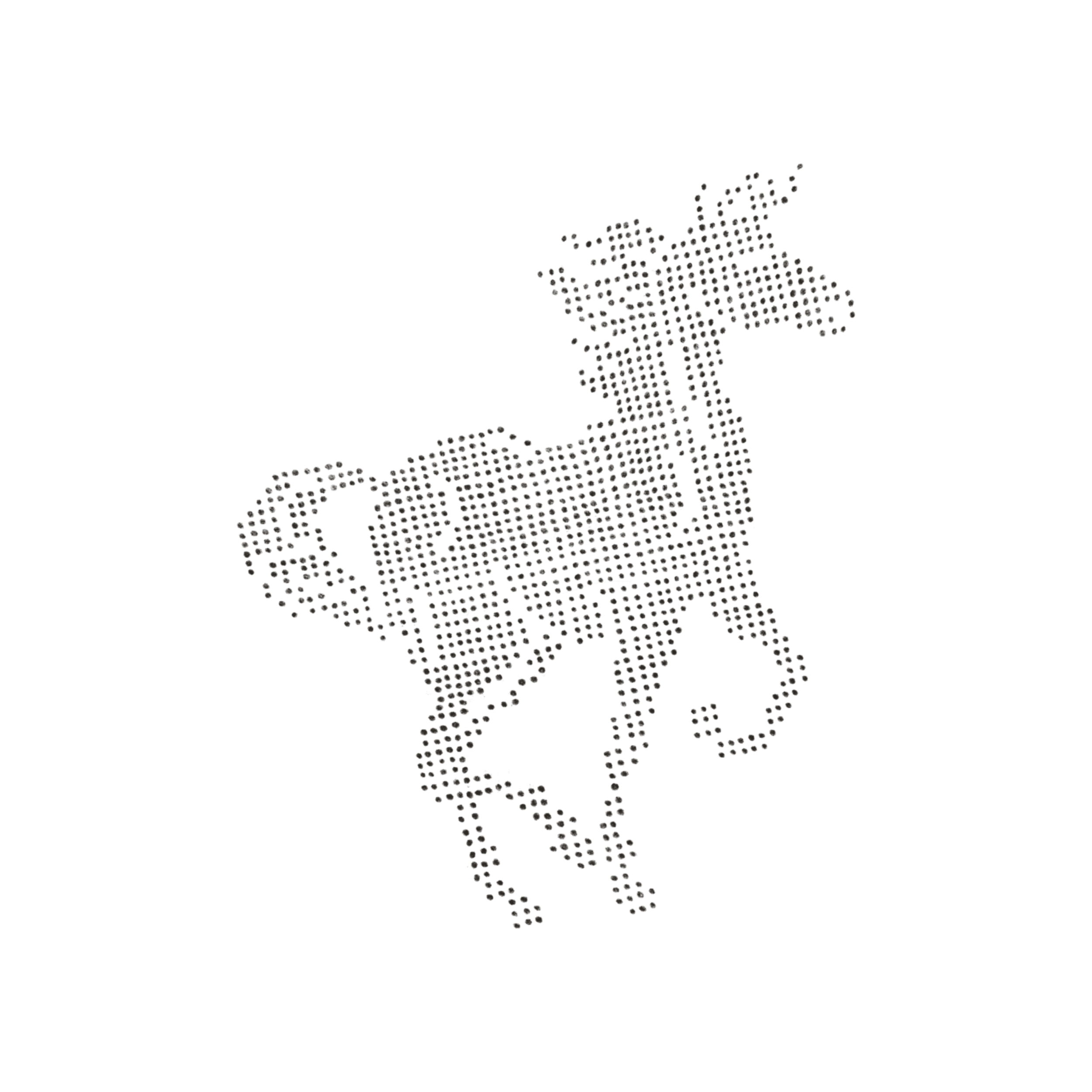 IMG_6110.PNG