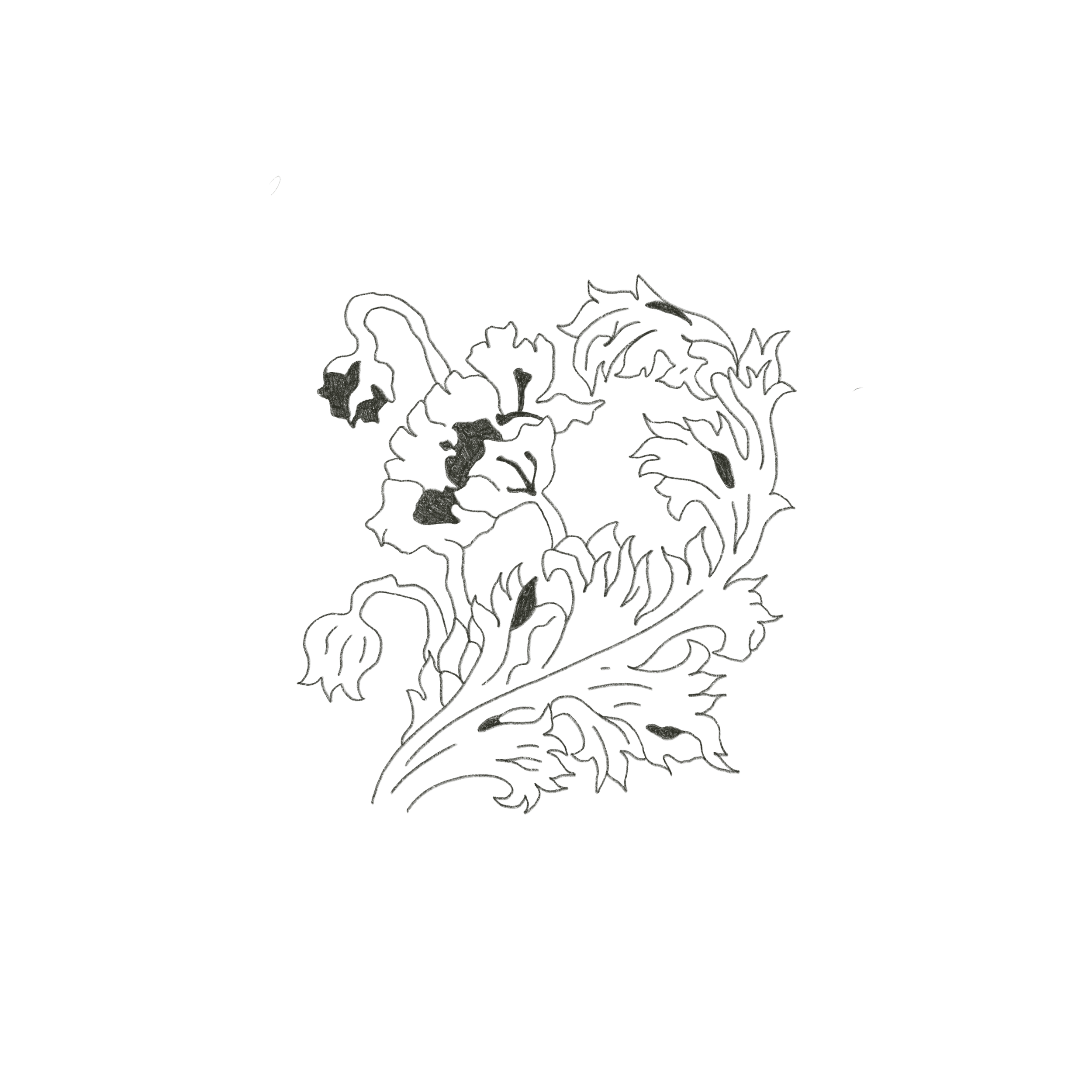 bloom 2