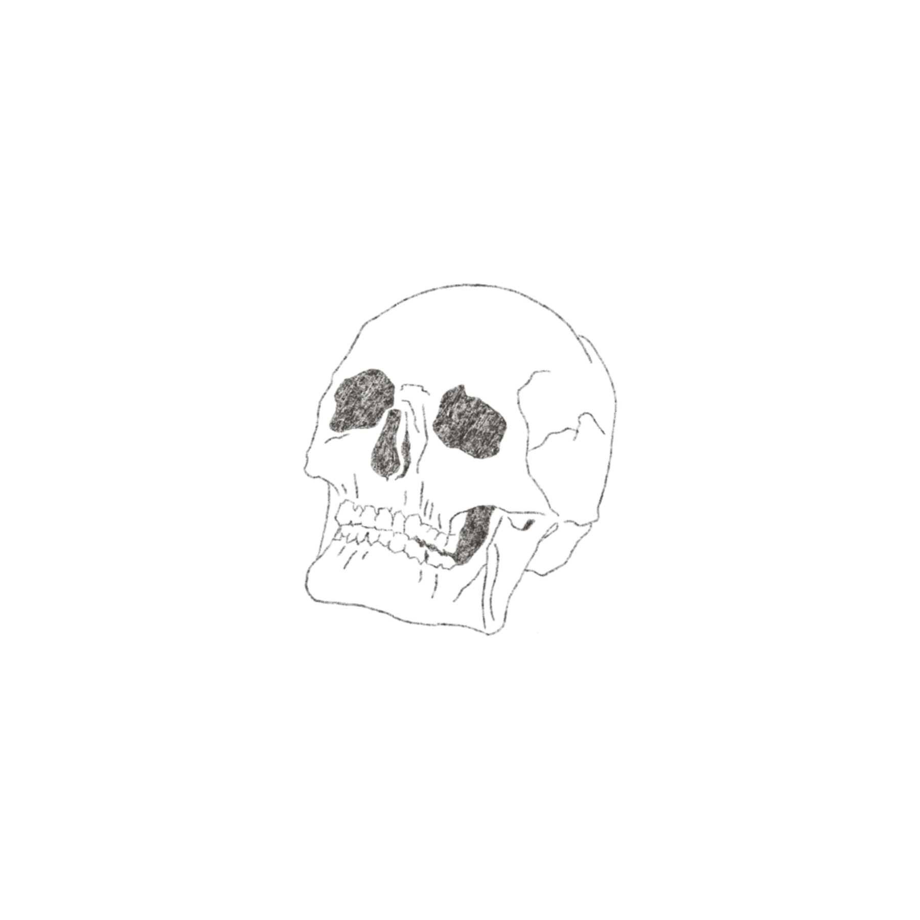IMG_6001.PNG