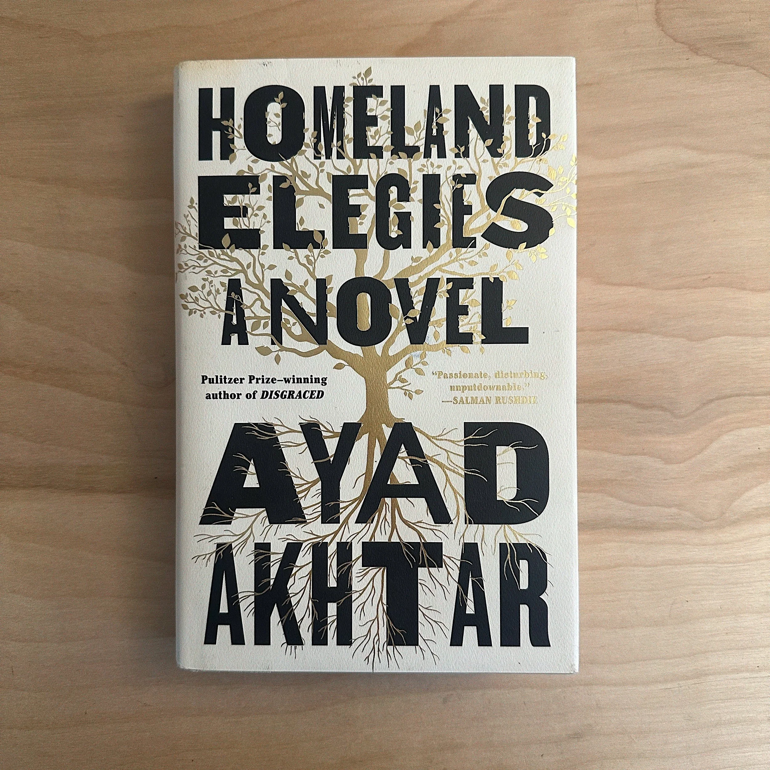 Homeland Elegies by Ayad Akhtar